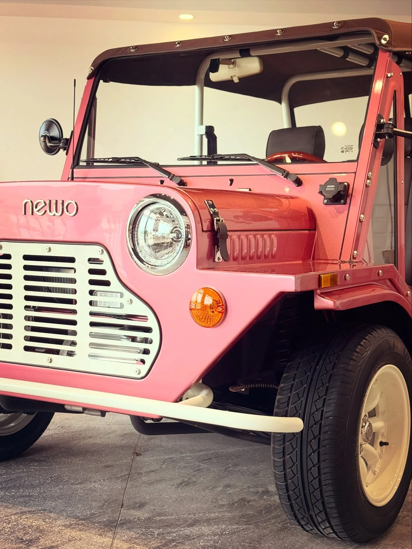 Newo | Flamingo Edition