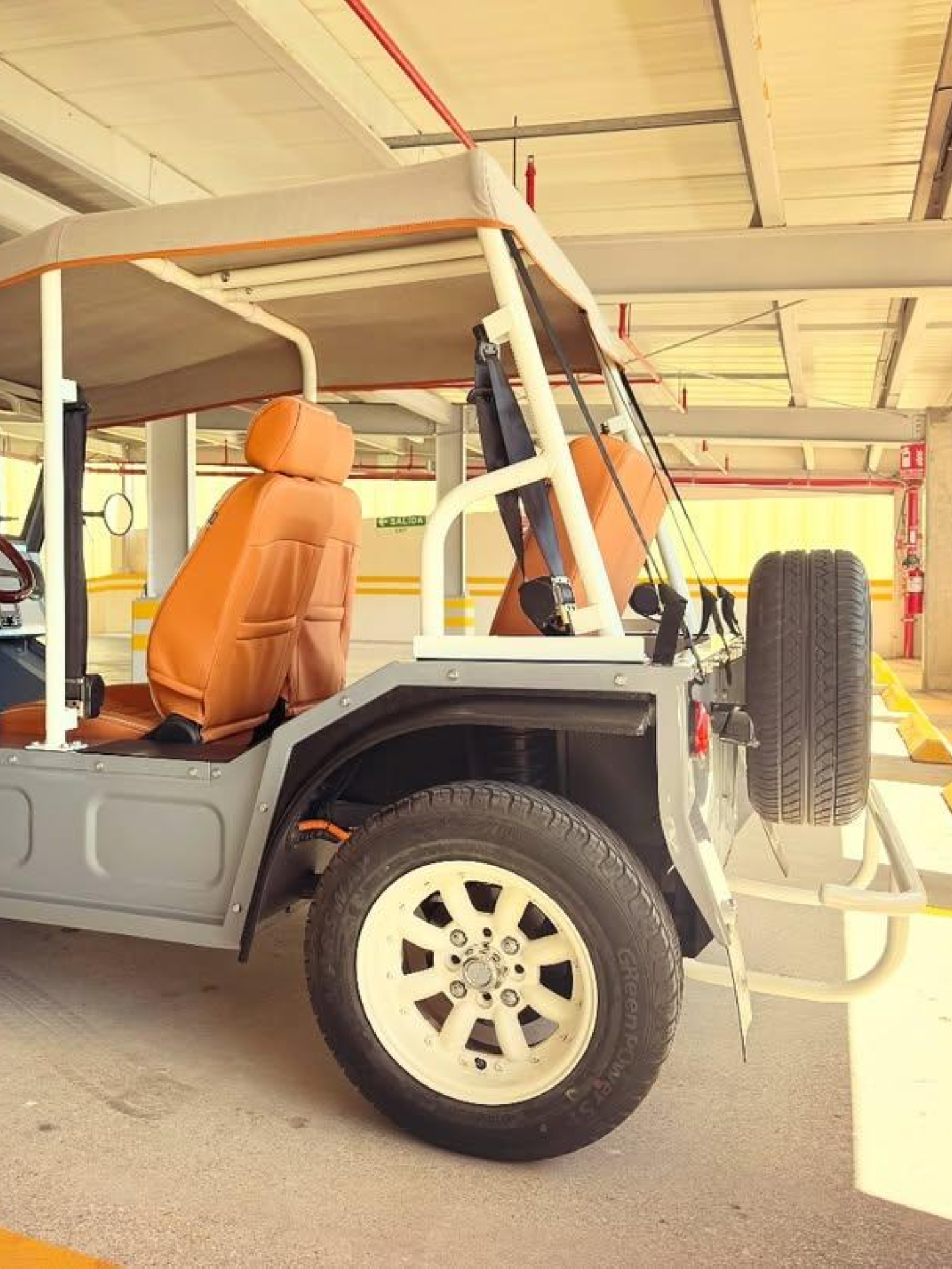 Bronco _ Driftwood (1).png