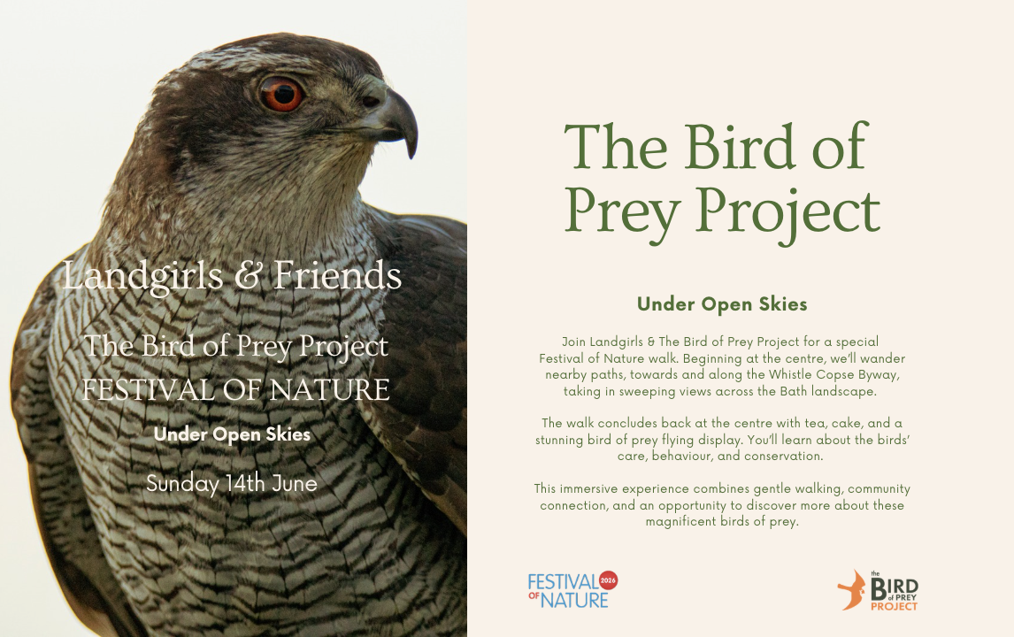 Flyer for The Bird of Prey Project Festival of Nature showing a close-up of a bird of prey, with event details about a nature walk on June 14th.