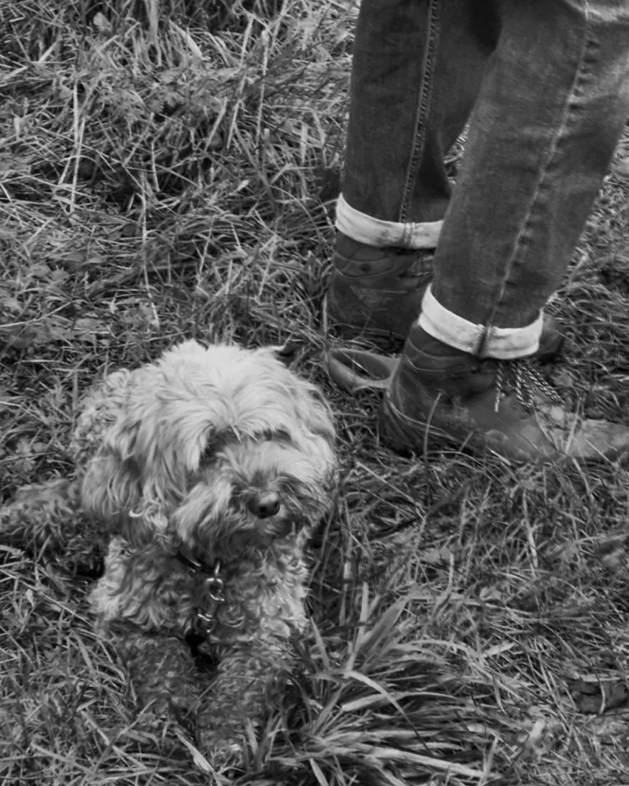 A small curly-haired dog sitting on grass next to a person's legs wearing jeans and boots in a natural outdoor setting.