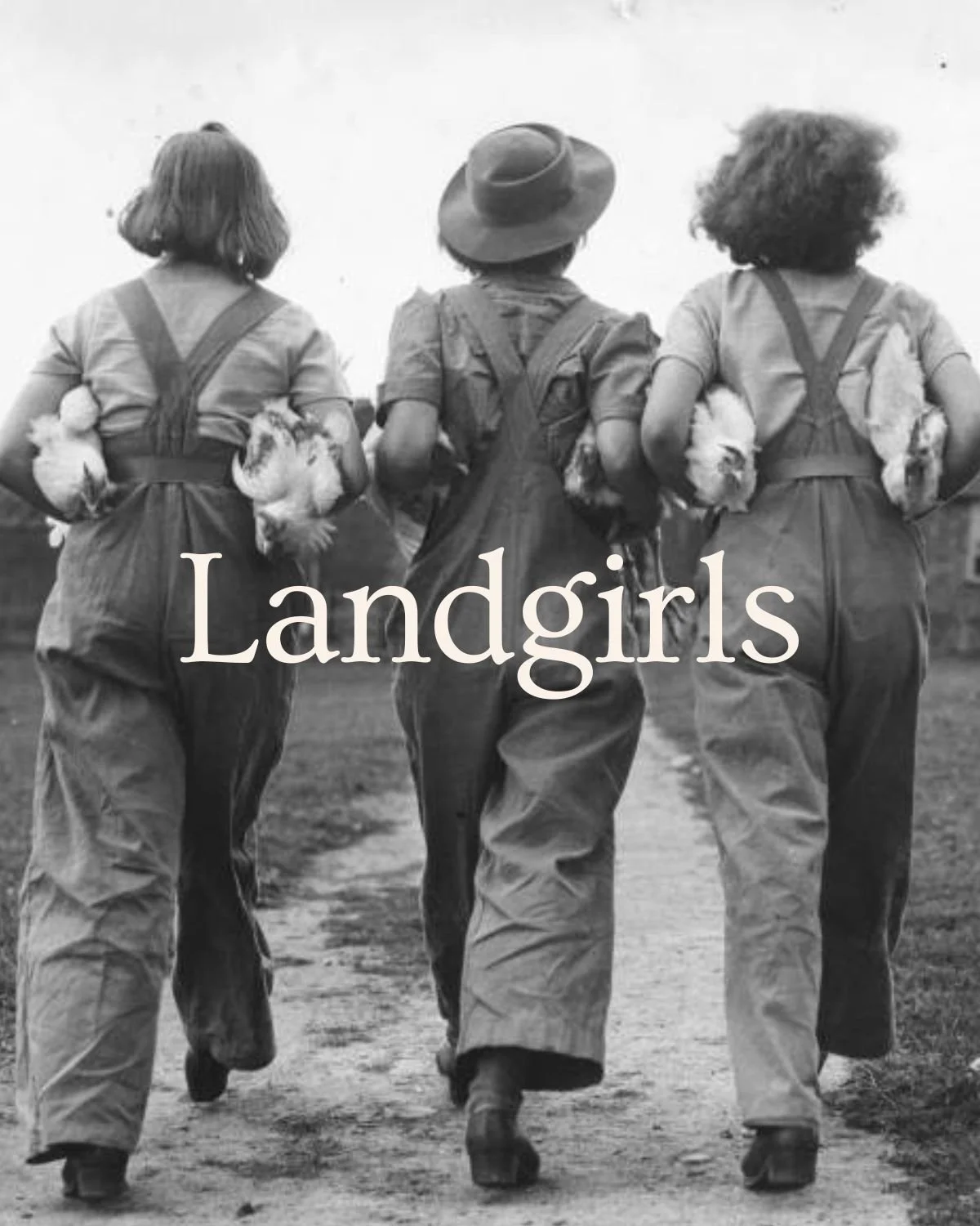 Three women walking away with chickens in their arms, with the word 'Landgirls' overlaid.