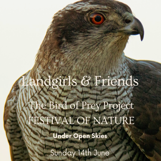 Close-up of a bird of prey, possibly a hawk or falcon, with text overlay advertising a nature festival.