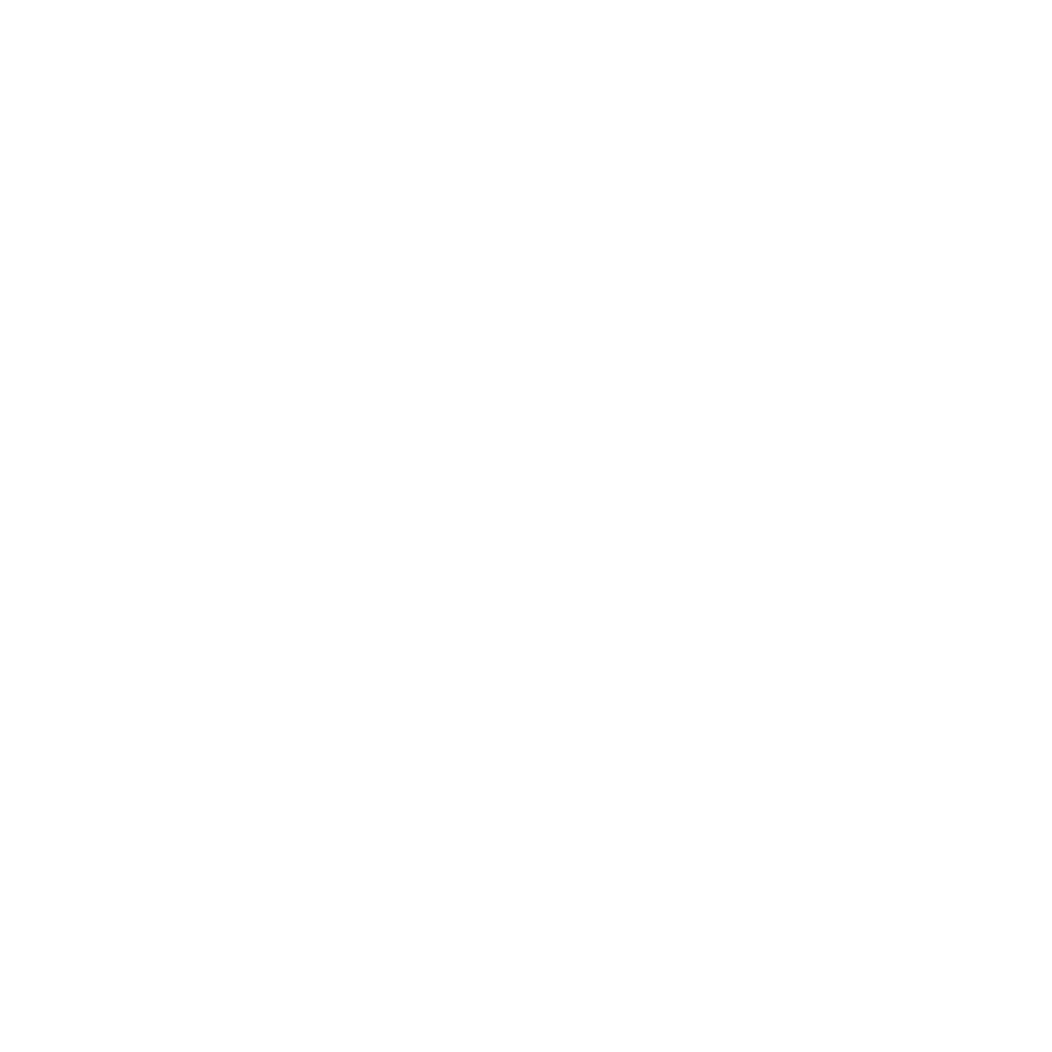 BBQ on  the River