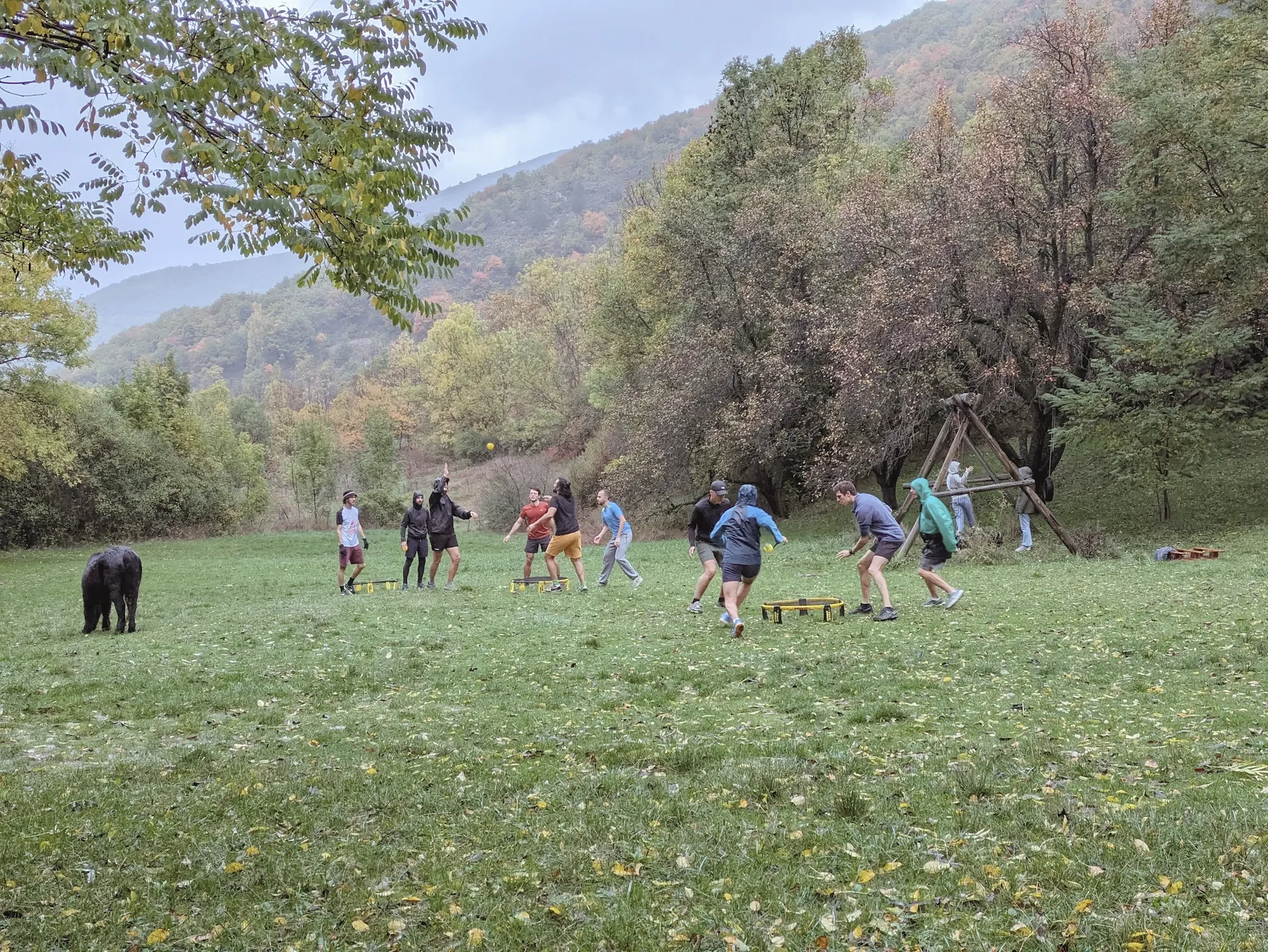 les-classes-vertes-mouvement-jeux-collectifs (1).webp