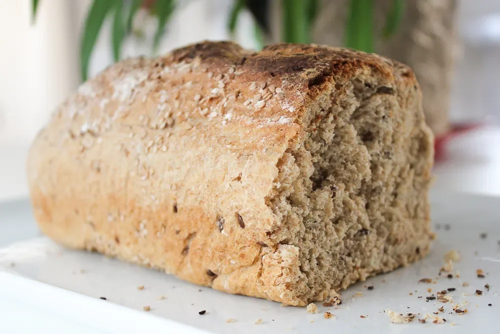 FOod Classes Vertes .webp