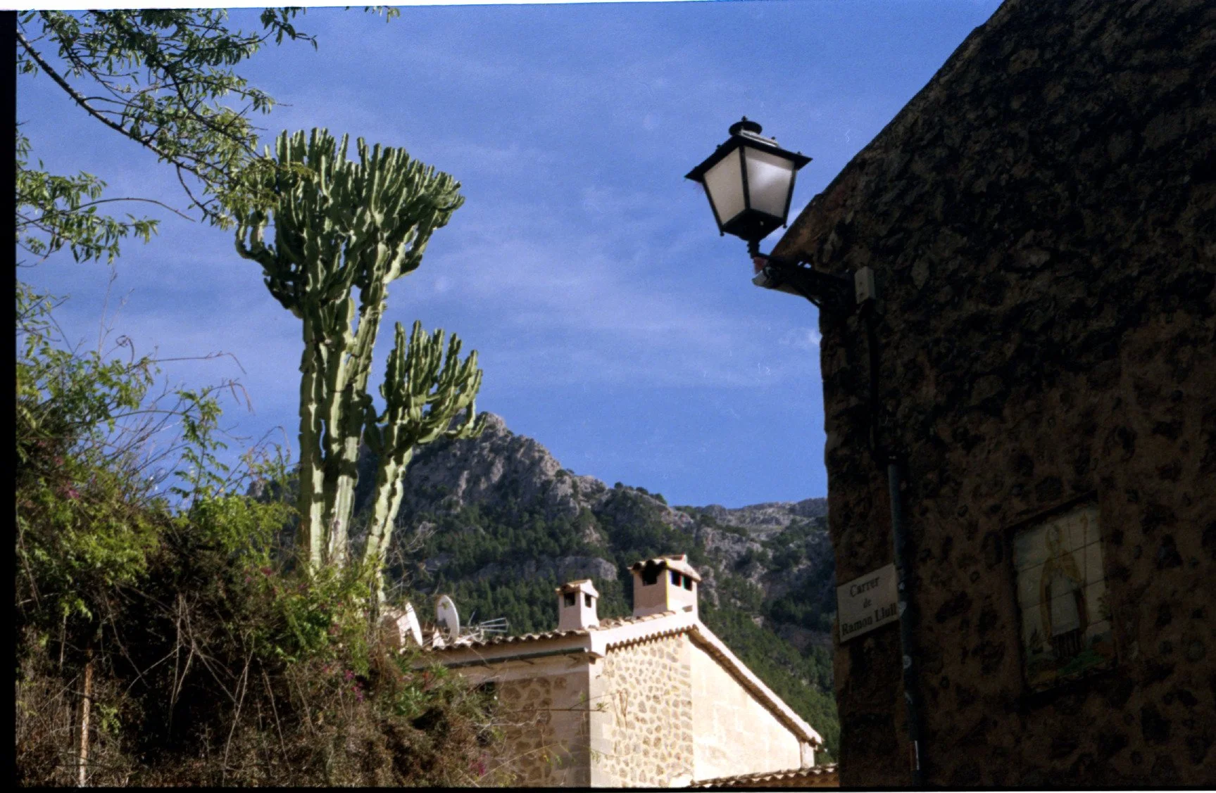 Deia.jpg