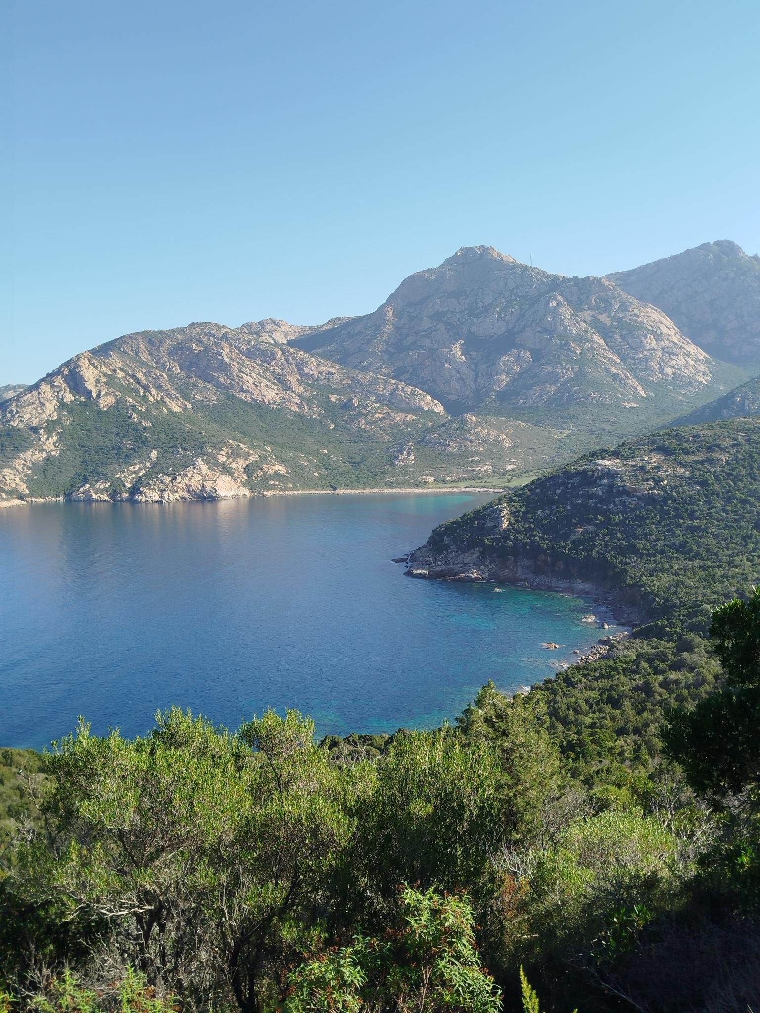 7. Galeria Calvi.jpg