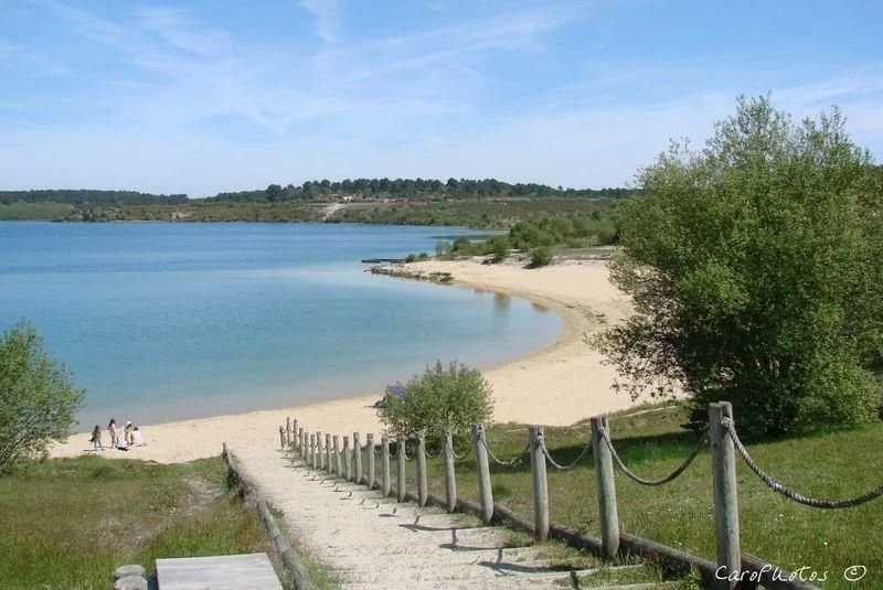 Séminaire nature dans le sud ouest à la réserve taïno au bord du lac d'arjuzanx avec les classes vertes