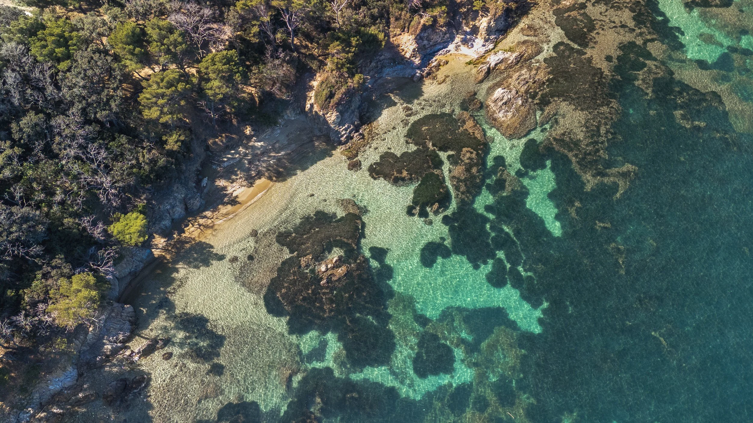 Séminaire d'équipe en pleine nature en méditerrannée, sur la presqu'île de giens et à porquerolles. Activités team buildings outdoors nautiques, ateliers de travail, animations. Evénements d'équipe sur-mesure, partagez votre brief !