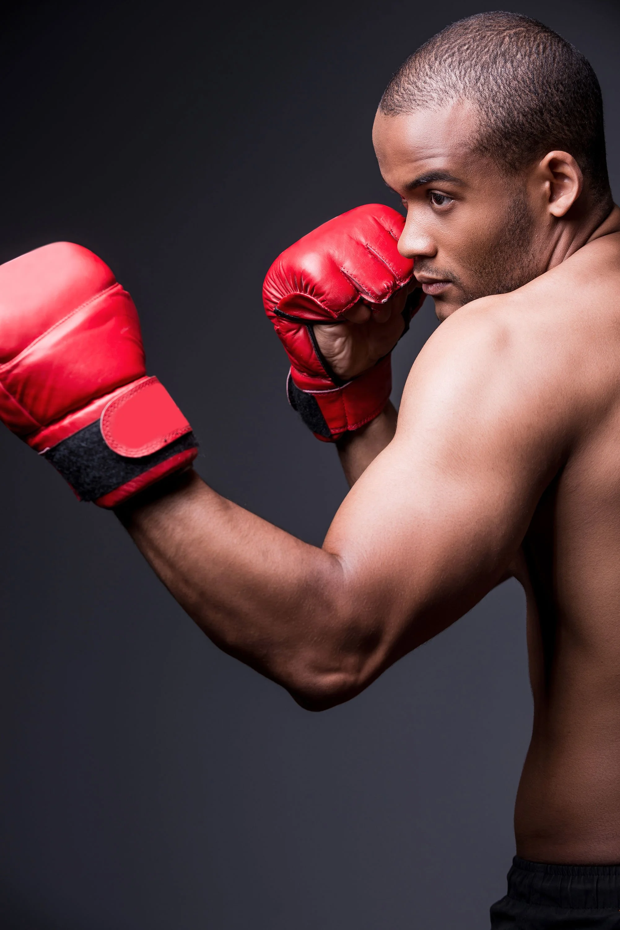 confident-boxer-2026-01-09-00-09-33-utc.jpg