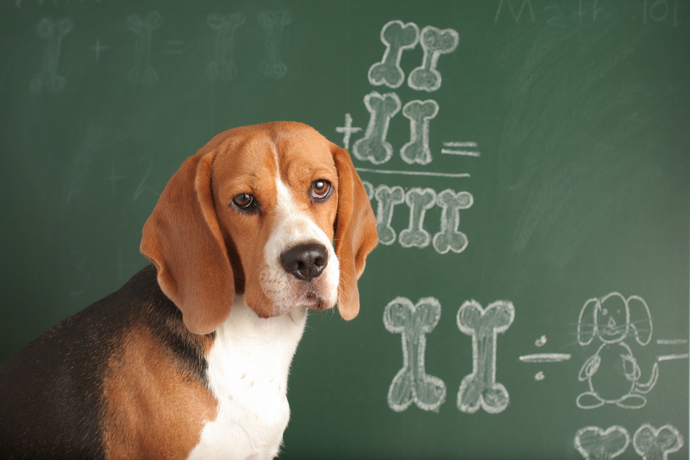 It's All Math