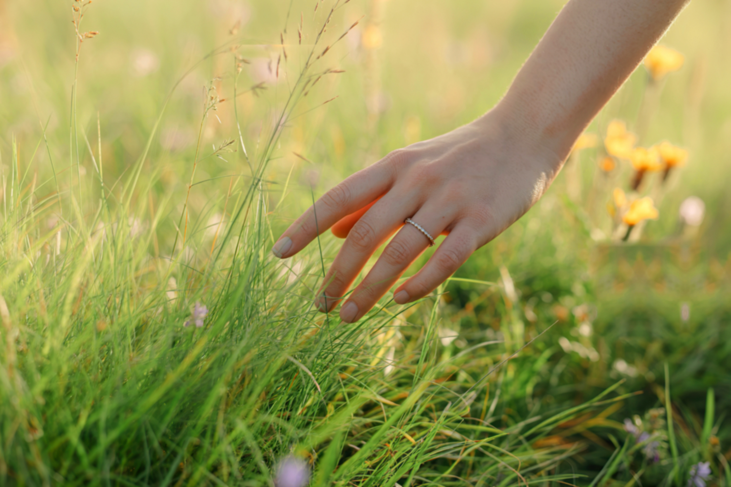 Go Touch Grass