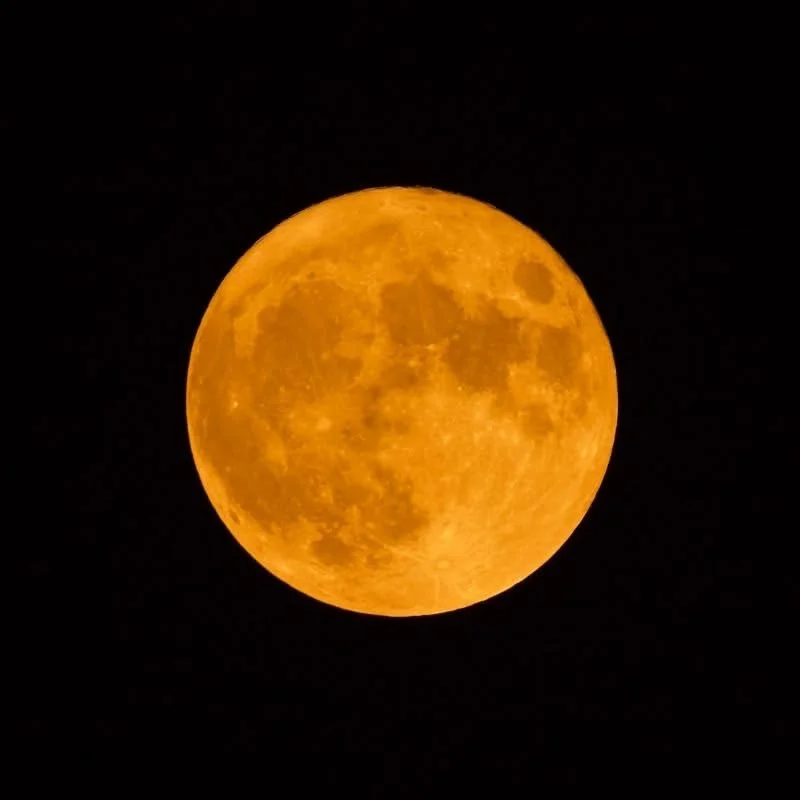 Harvest Moon Ceramics Supper Club - 25th/ September