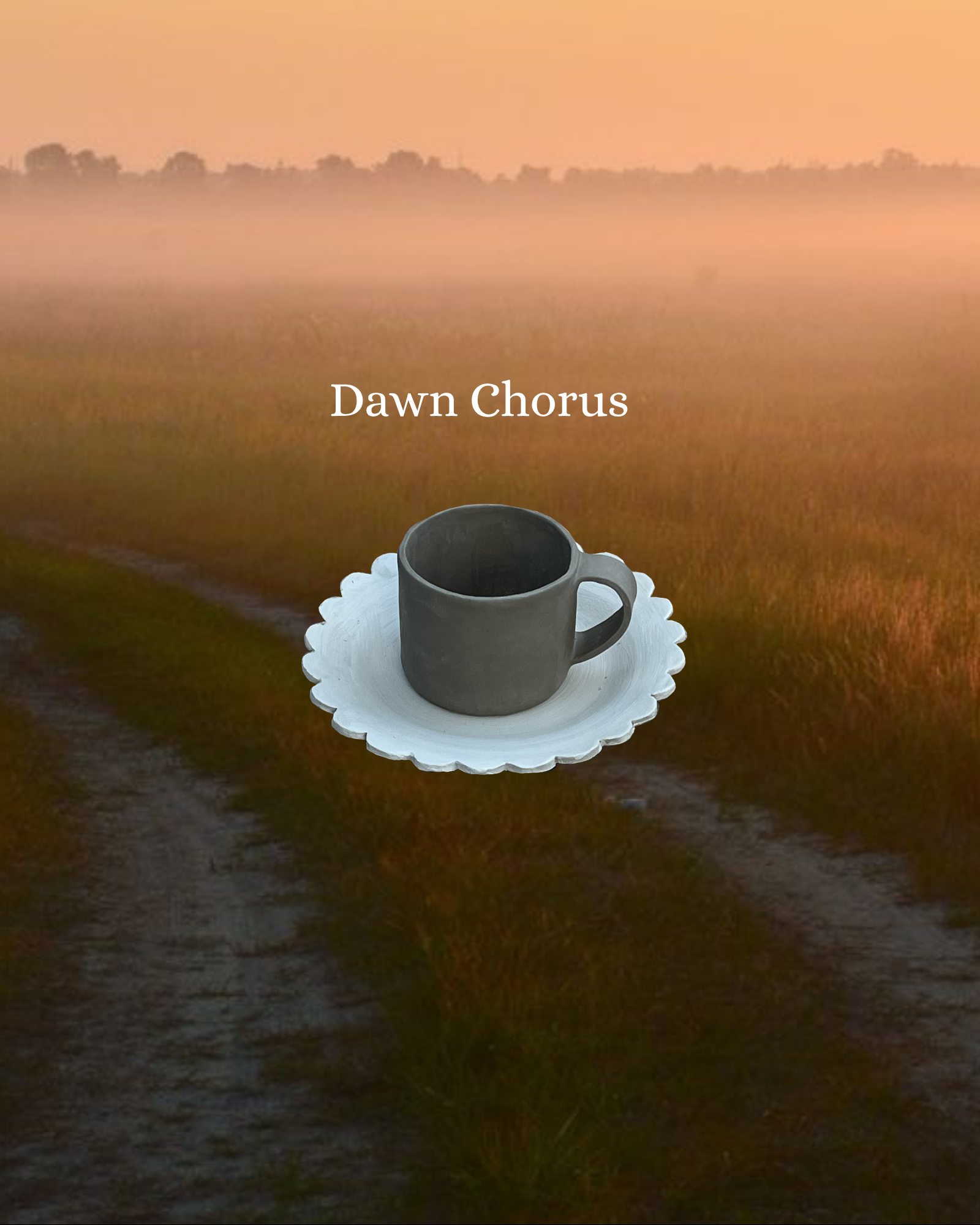Dawn Chorus - 22nd/June