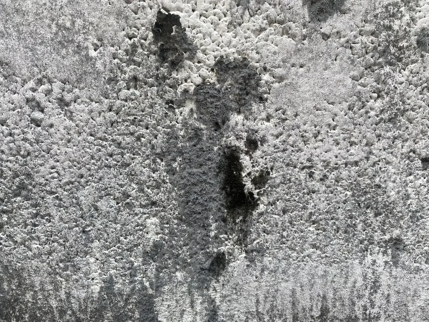 How To Clean Fire Damaged Concrete: A Complete Guide