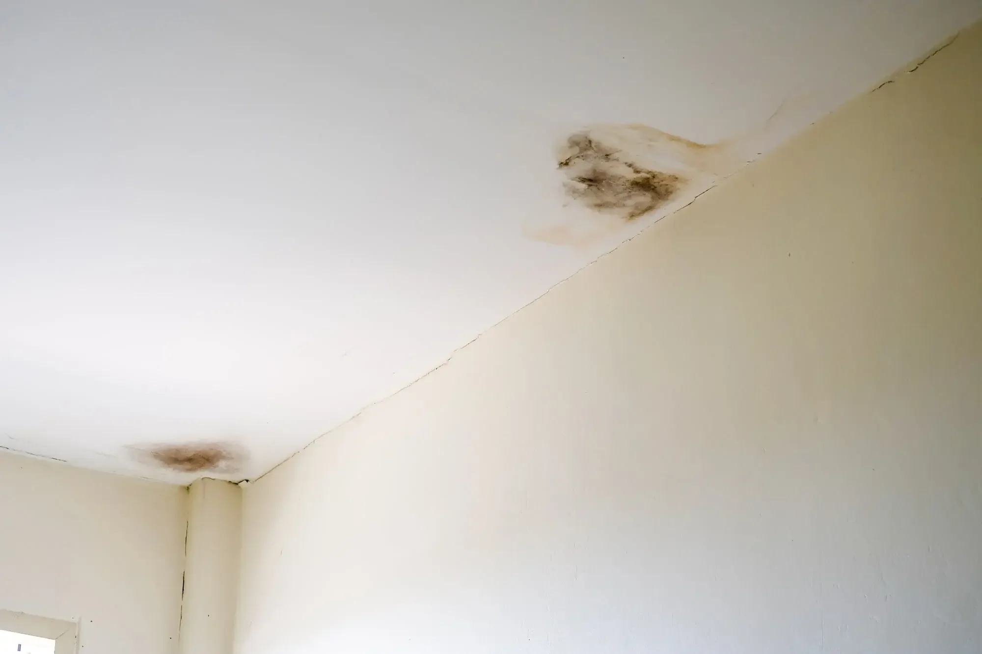How To Check For Mold After Water Damage