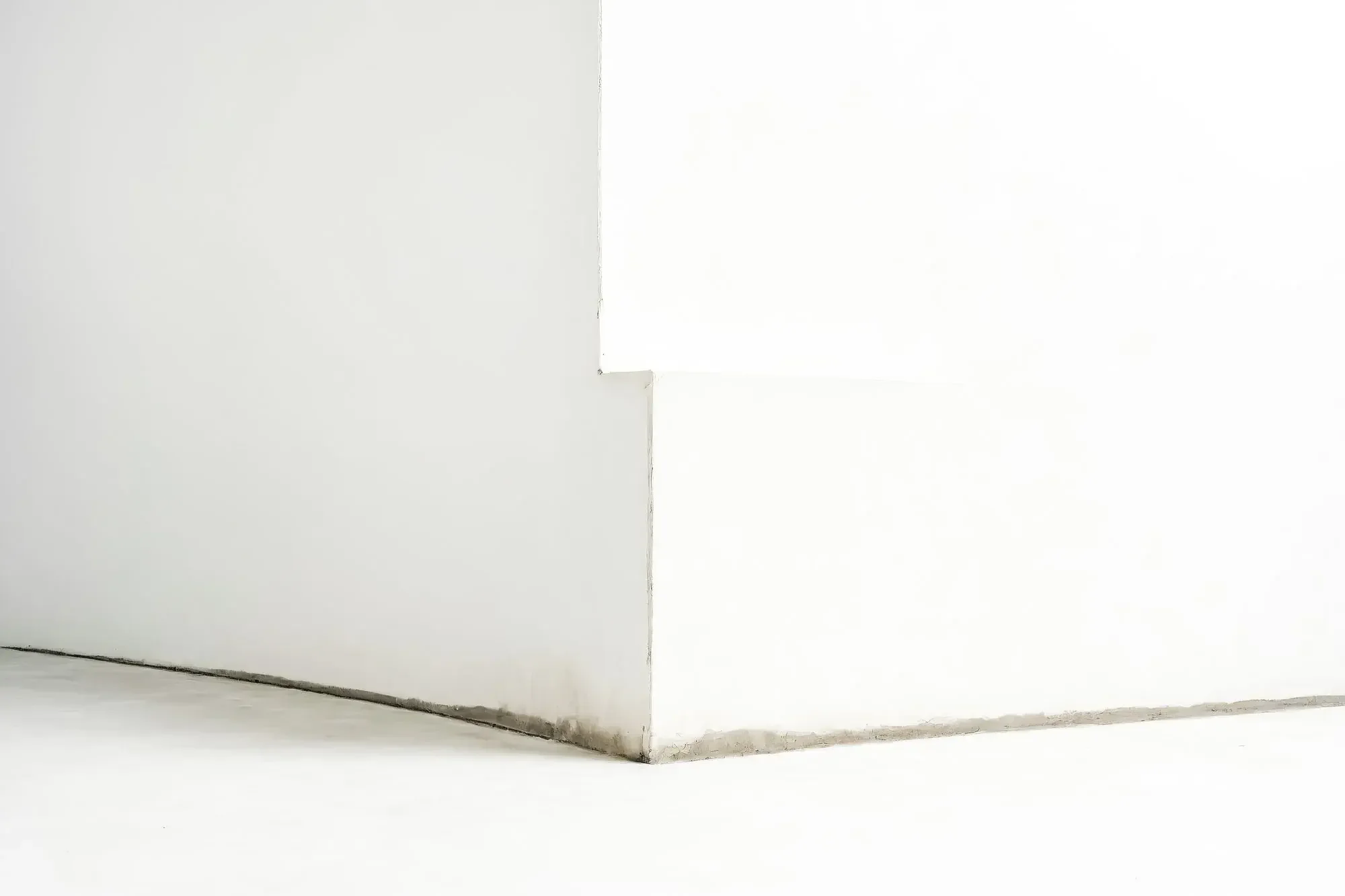 How To Clean Mold Off Walls &amp; Every Corner