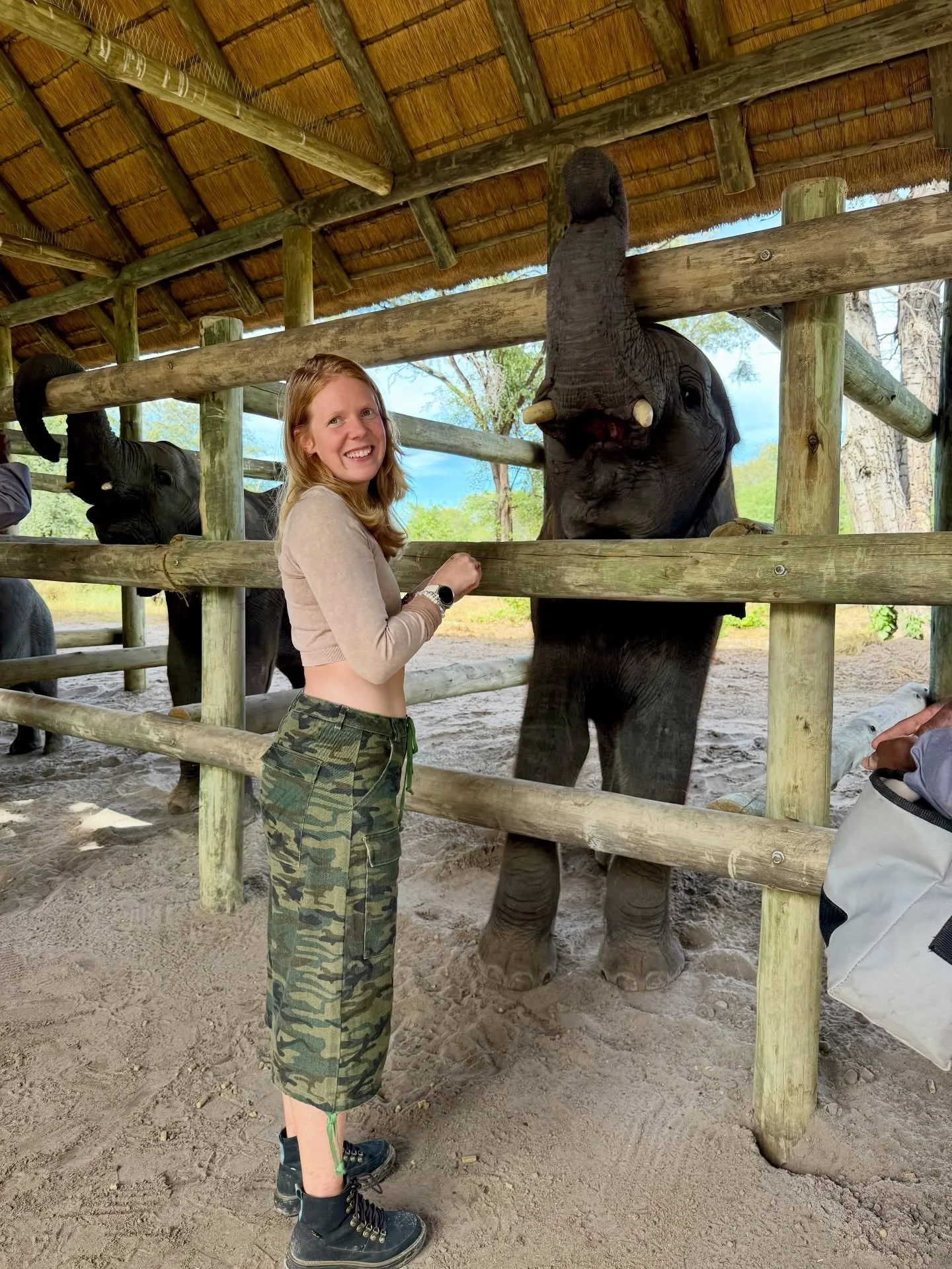 Botswana 🇧🇼🫶 
(part one of many)

#botswana #africansafari #travelgram #girlswhotravel #africawildlife