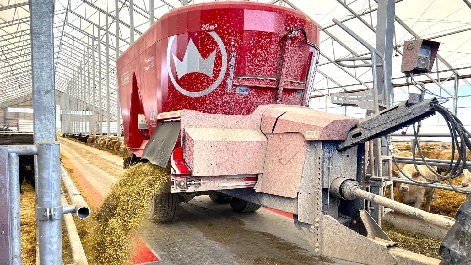 A 20 cubic meter Siloking TrailedLine Premium 2218 pull-type vertical mixer discharging fresh total mixed ration to beef cattle inside a modern fabric barn structure.