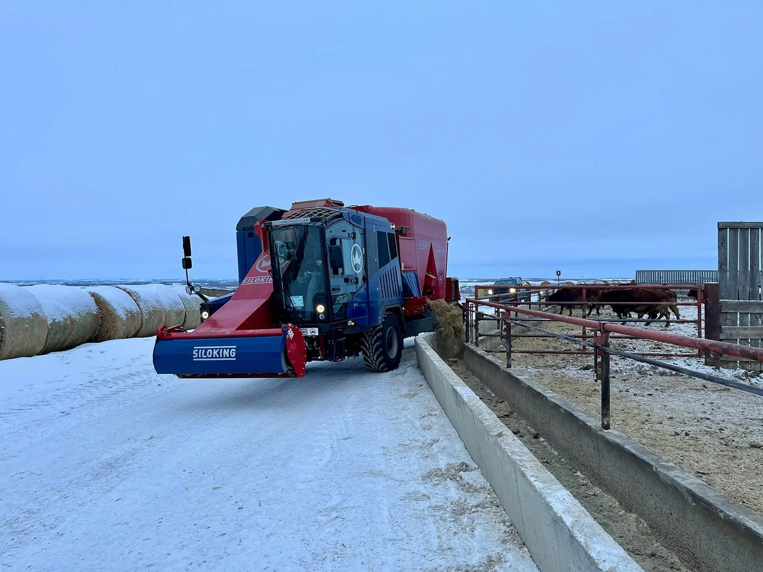A Siloking SelfLine self-propelled vertical TMR mixer discharging cattle feed into a concrete fenceline bunk on a snowy Canadian beef feedlot during winter.