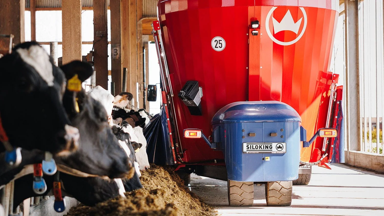 Rear view of a Siloking SelfLine Premium 4.0 2215 self-propelled TMR mixer discharging fresh feed to Holstein dairy cows inside a free stall barn.