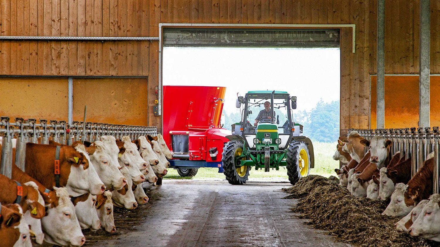 A John Deere tractor pulling a Siloking TrailedLine Compact mixer wagon down a narrow feed alley to distribute fresh TMR to dairy cattle inside a traditional barn.