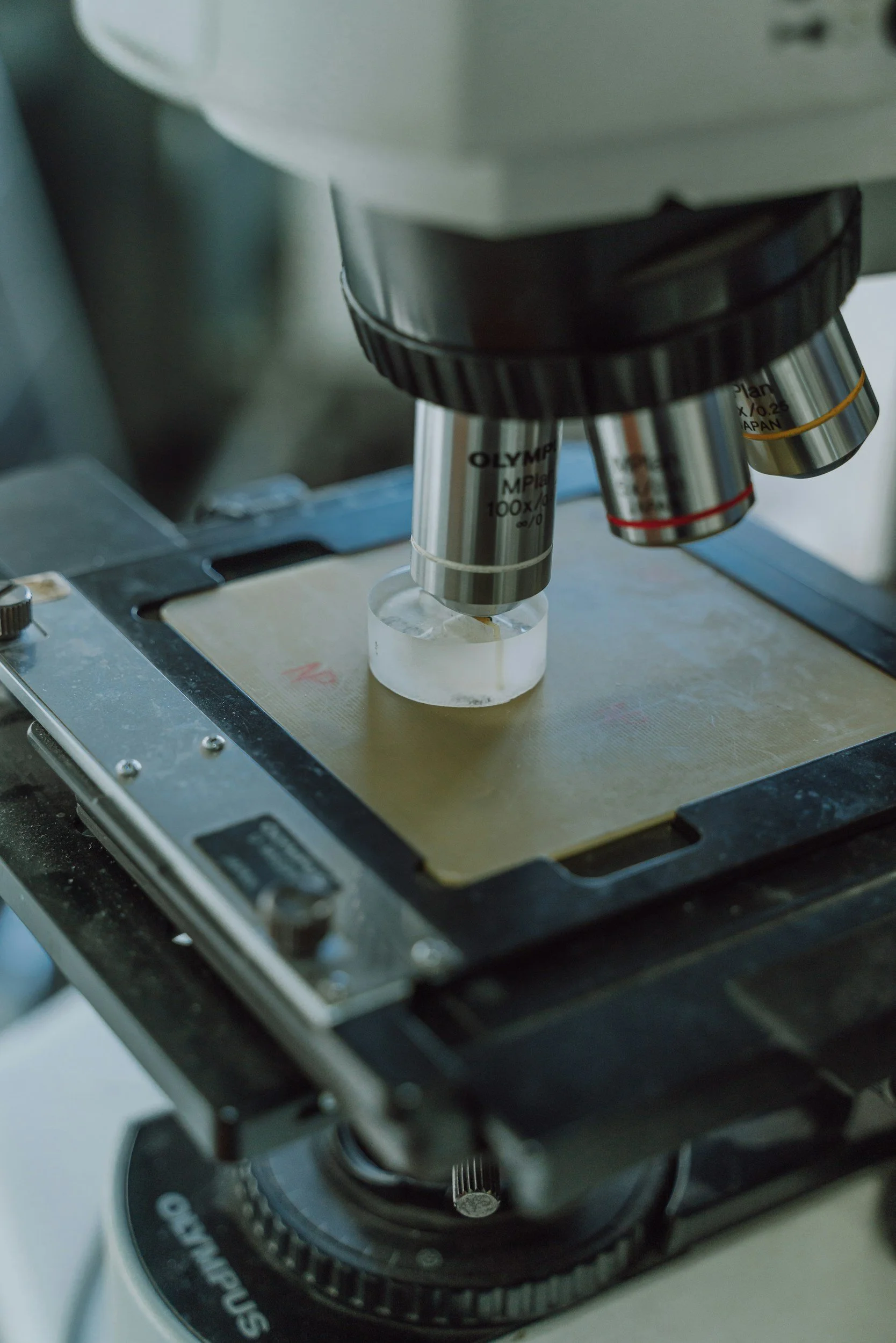 Cell and Gene Therapy Facilities