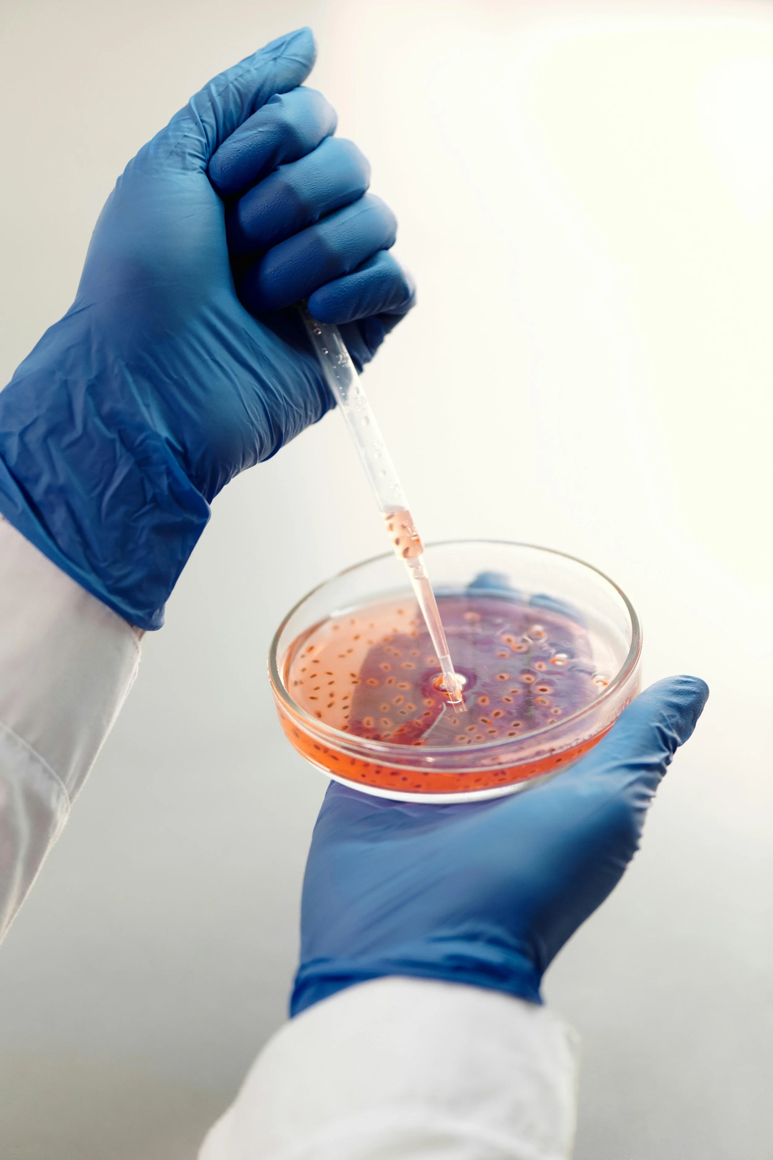 Biologics Production