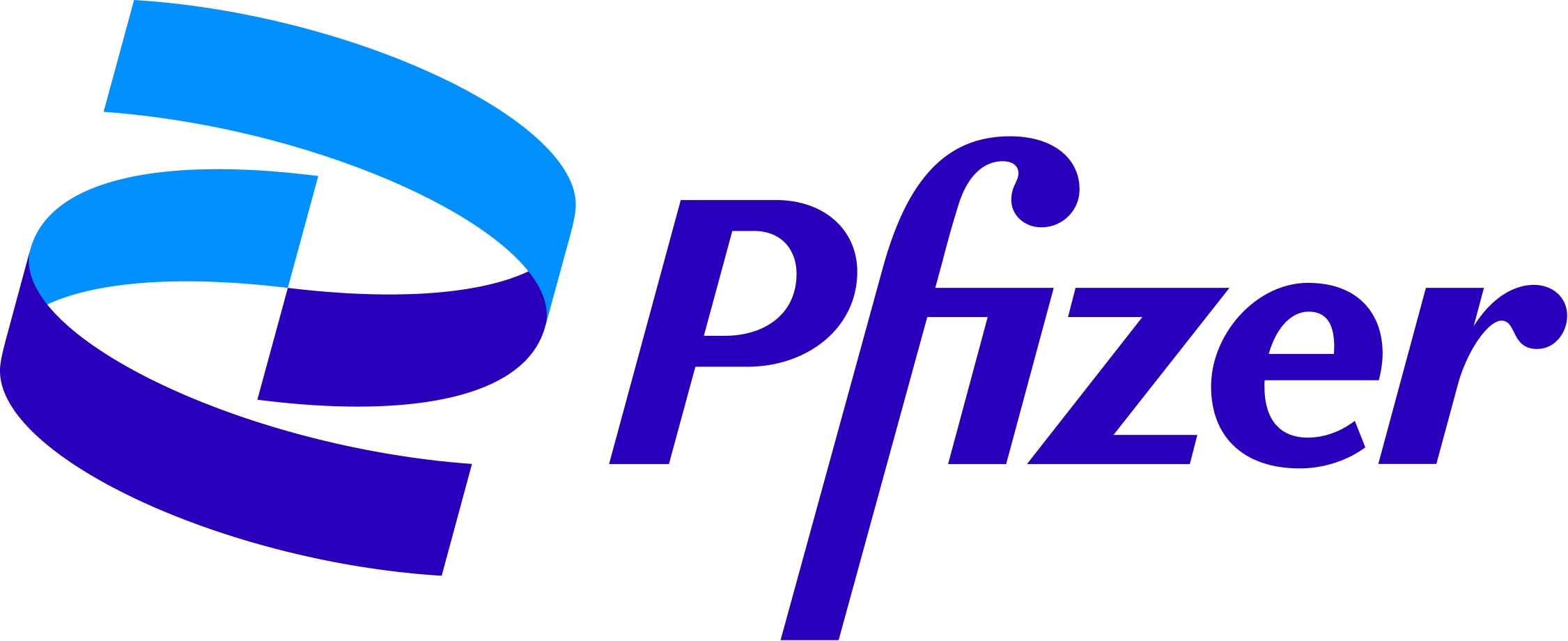 Pfizer logo with a stylized blue and purple emblem to the left and the word 'Pfizer' in blue text.