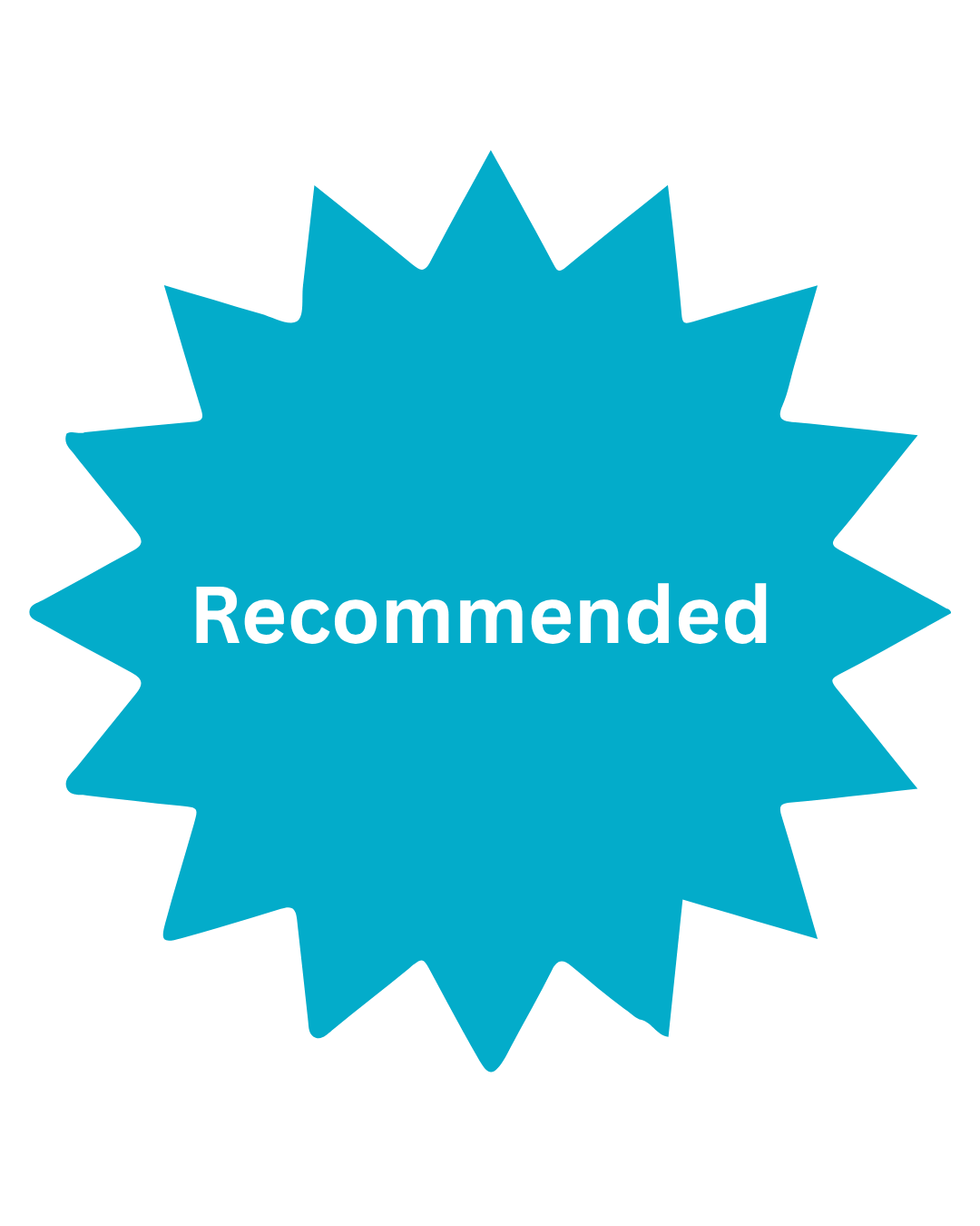 Blue starburst badge with the word 'Recommended' in white text.