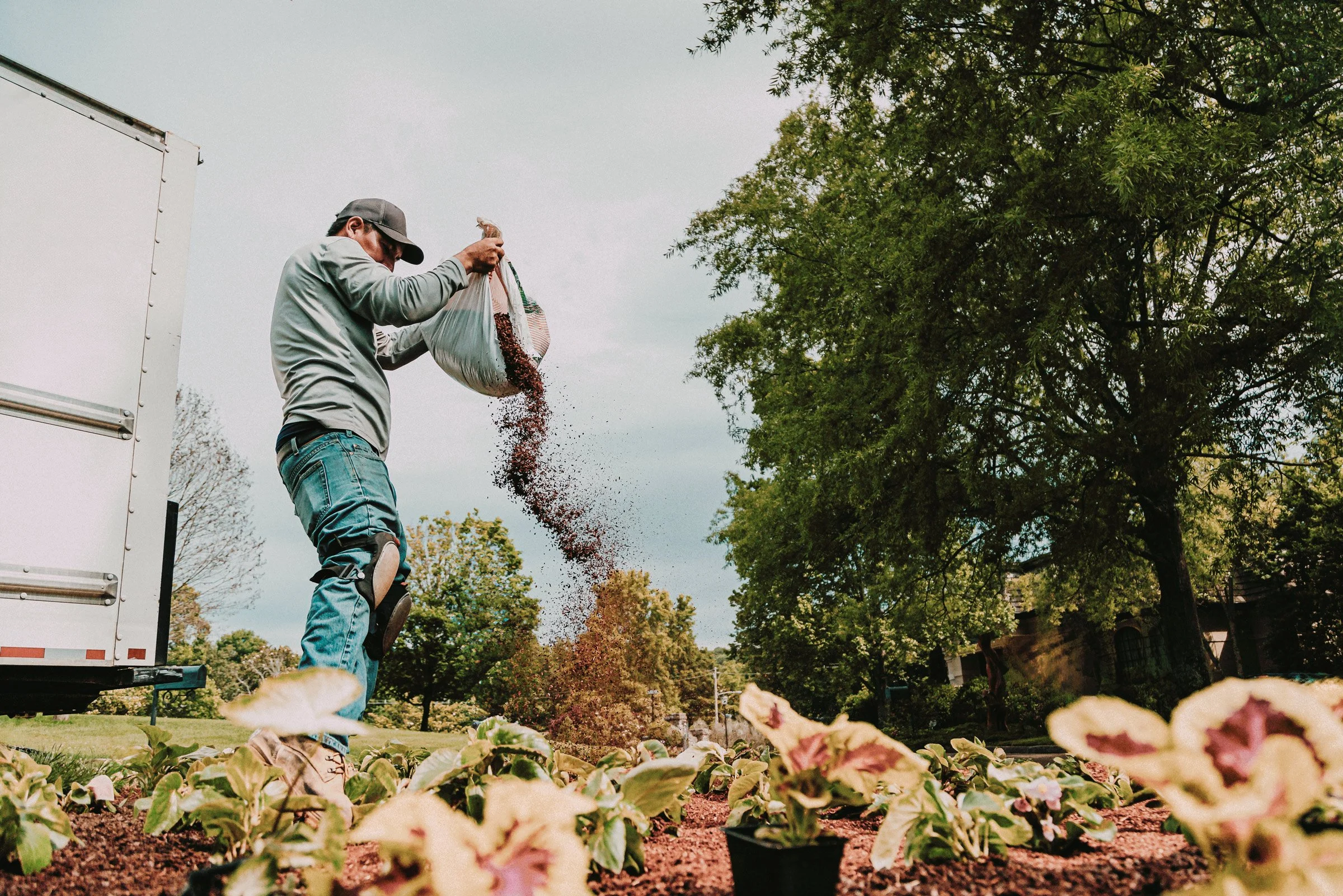 Laying Mulch for Nashville Quality Tree Surgery
