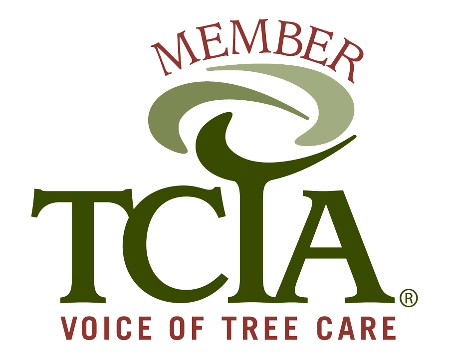 Logo for the Tree Care Industry Association featuring a stylized tree with the text "Member TCA" and the slogan "Voice of Tree Care."
