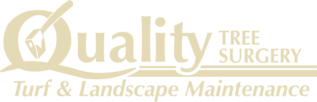 Quality Tree Surgery