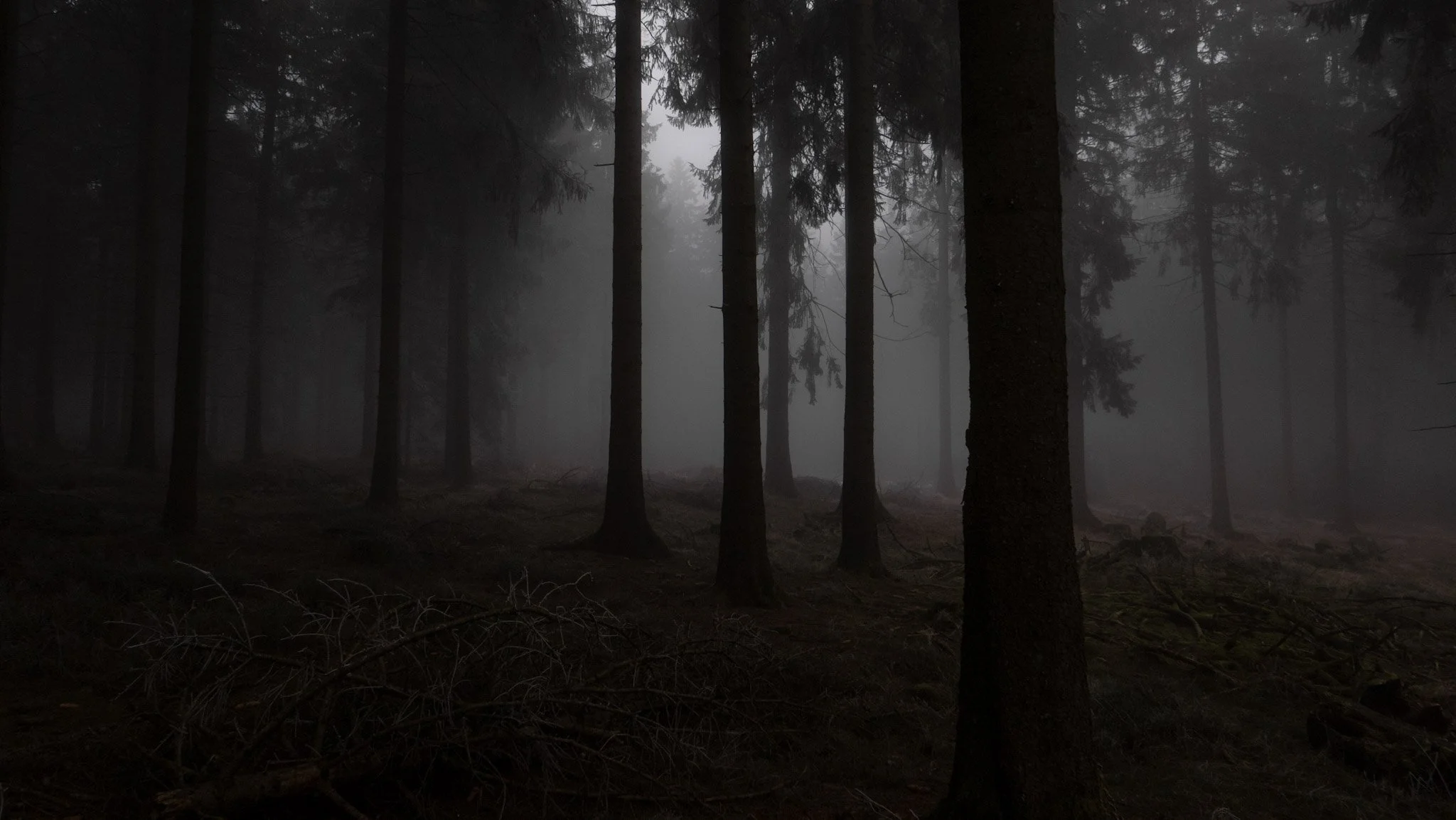 Großer Feldberg Taunus