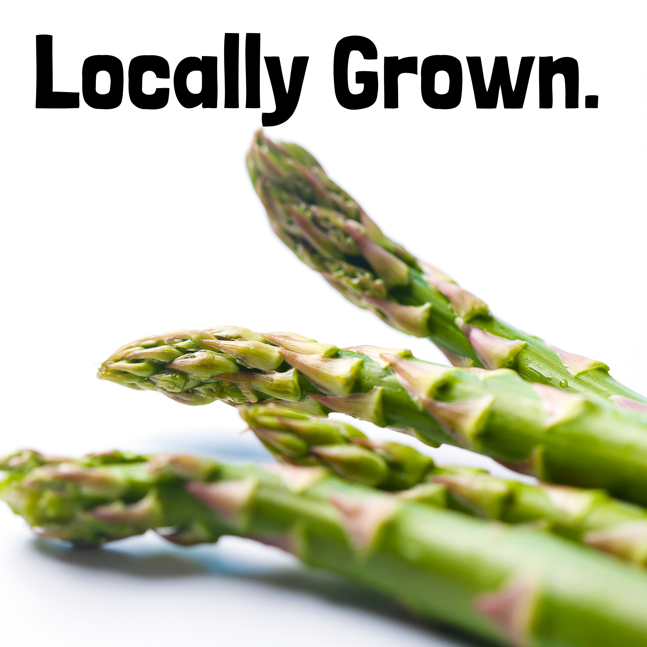 Freshealth Launches Summer Harvest Program for Schools