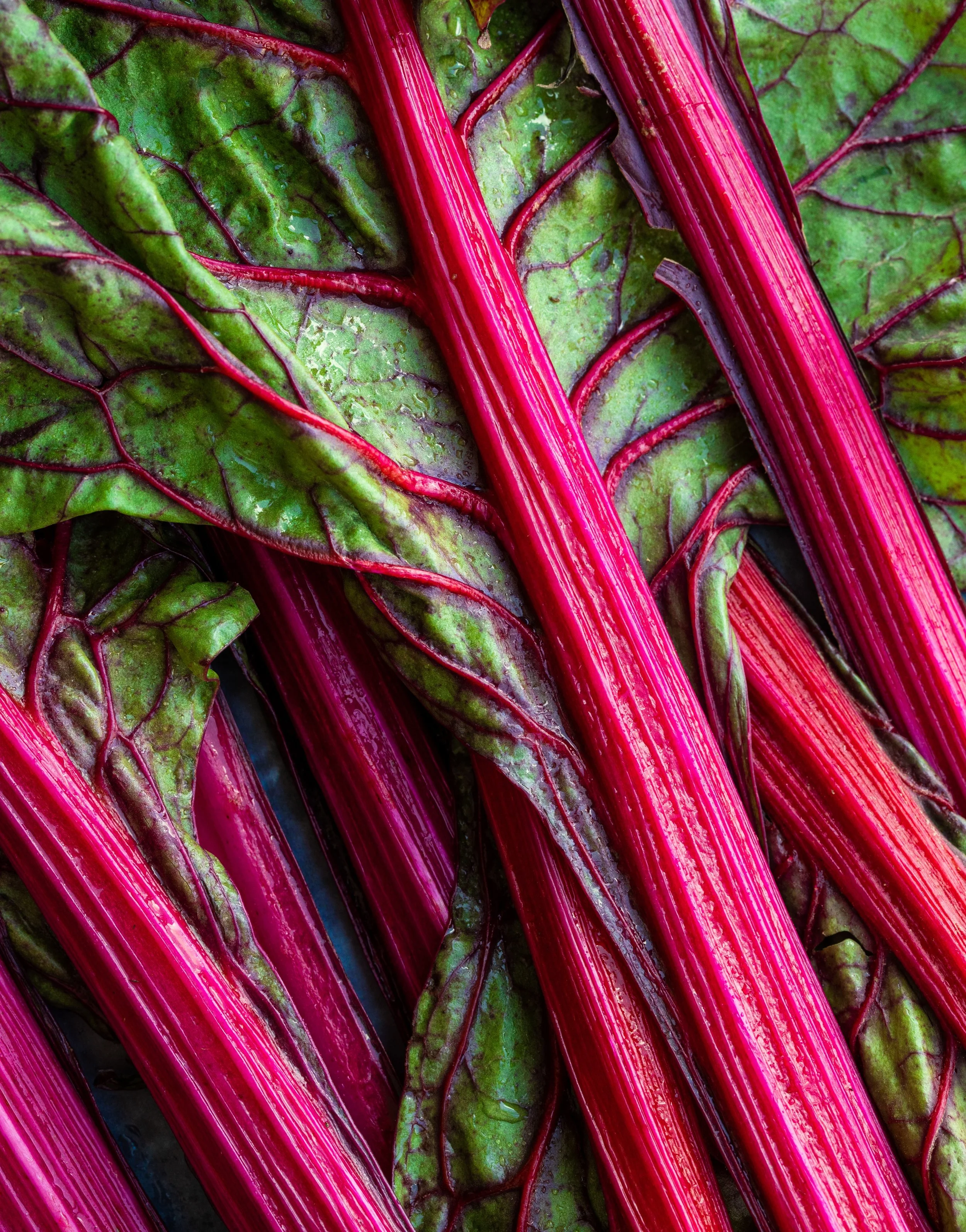 USDA Food Box 3.0: What needs to happen