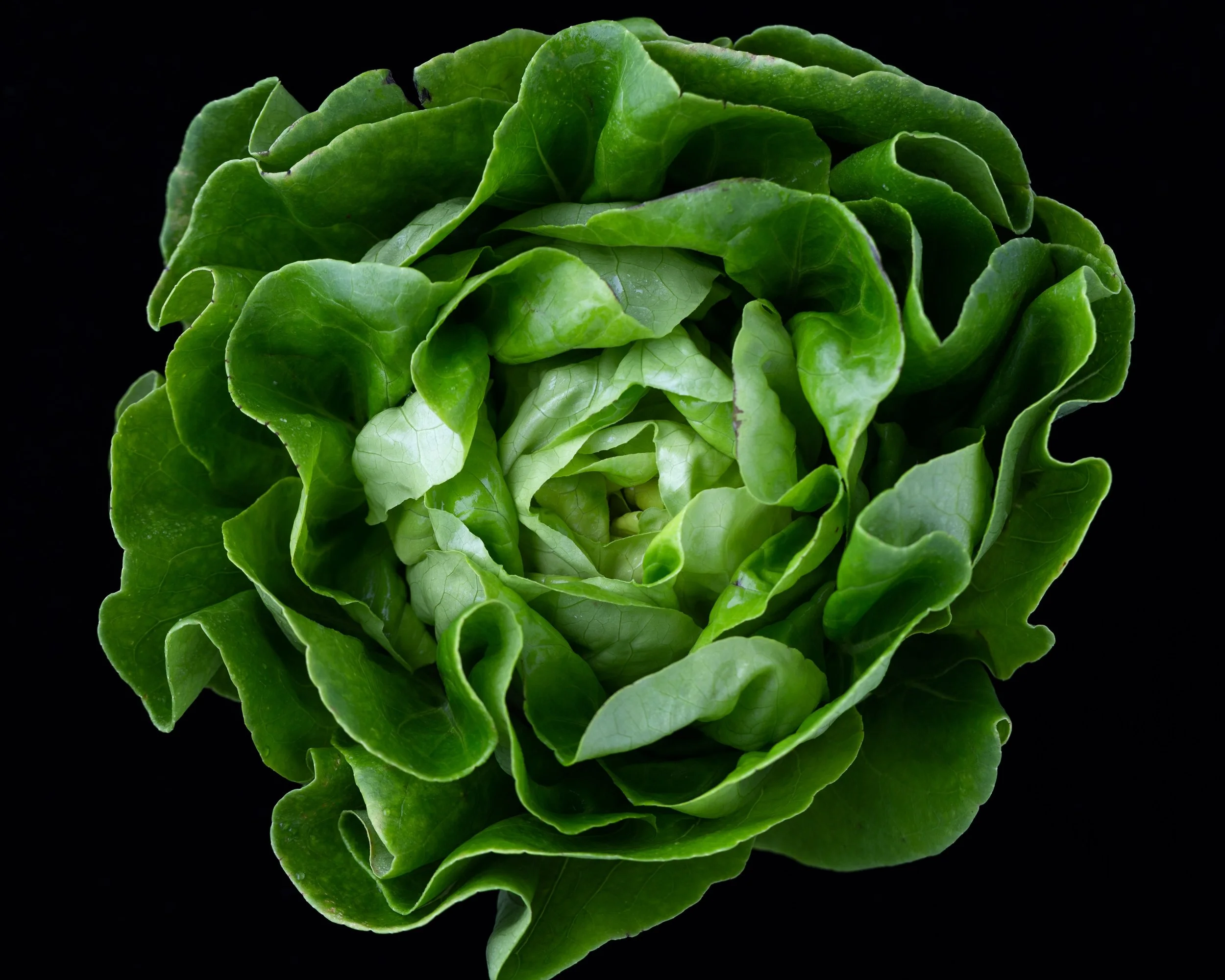 Nutrition Insecurity: The New Frontier
