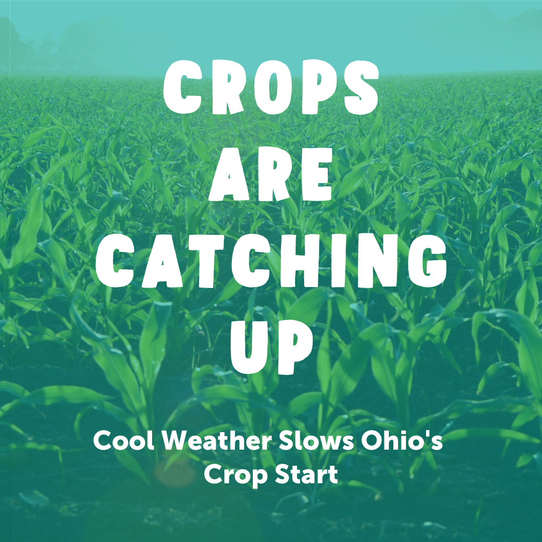 Weather slows Ohio's start, but crops are catching up