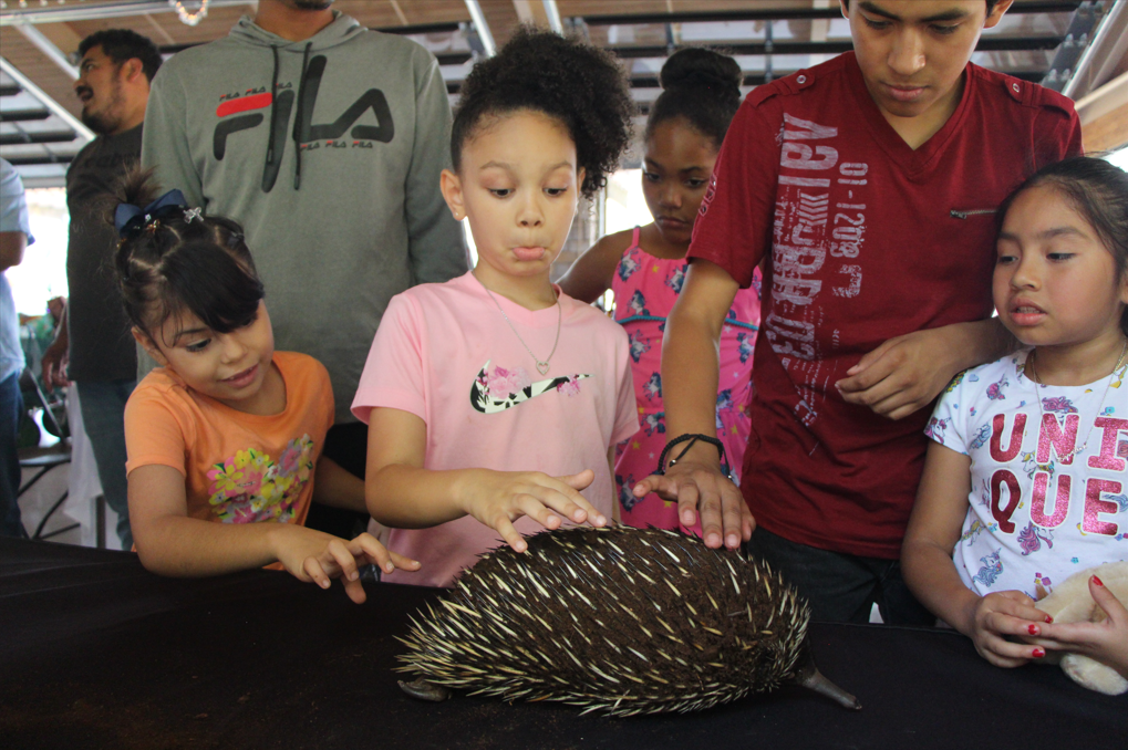 DNO Hosts Family Day at the Columbus Zoo