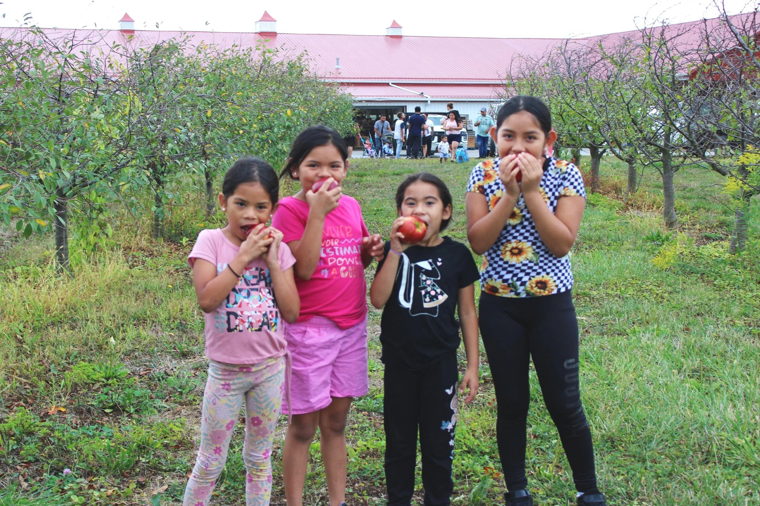 A Fun Family Day at Lynd Fruit Farm: Celebrating The Great Apple Crunch