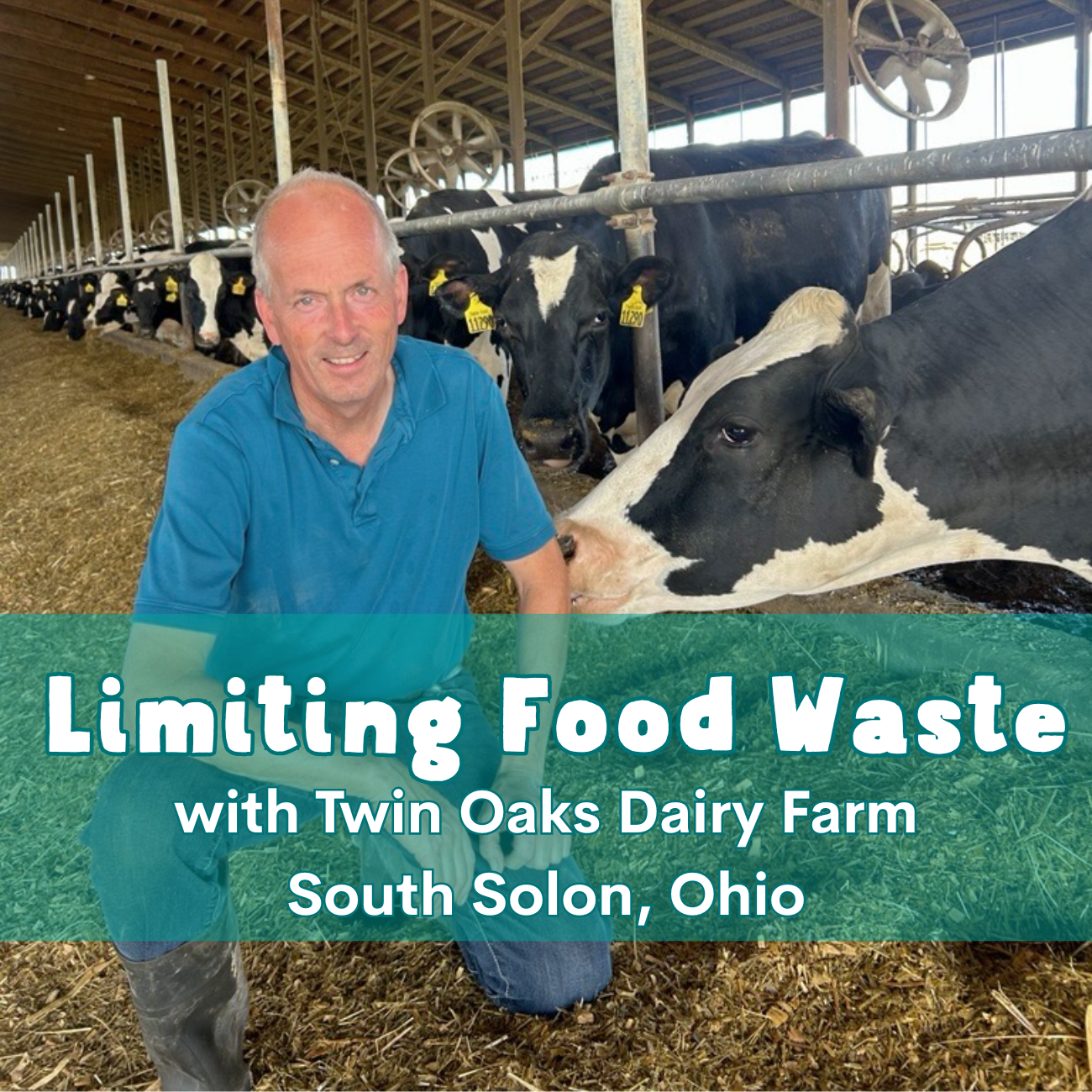 How Our Produce Scraps are Recycled at Ohio-Based Twin Oaks Dairy Farm