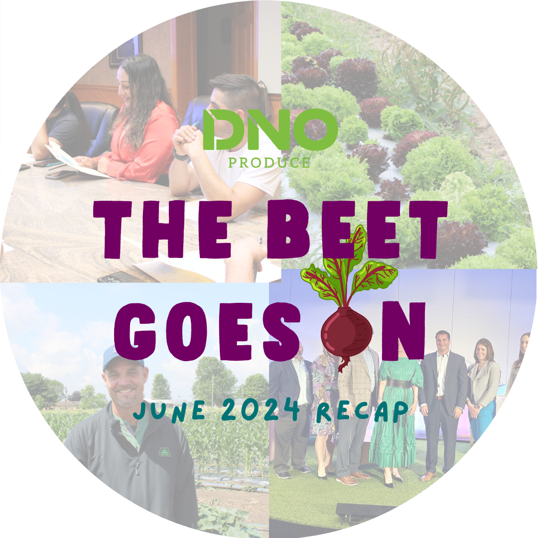 Check Out Our June Recap!