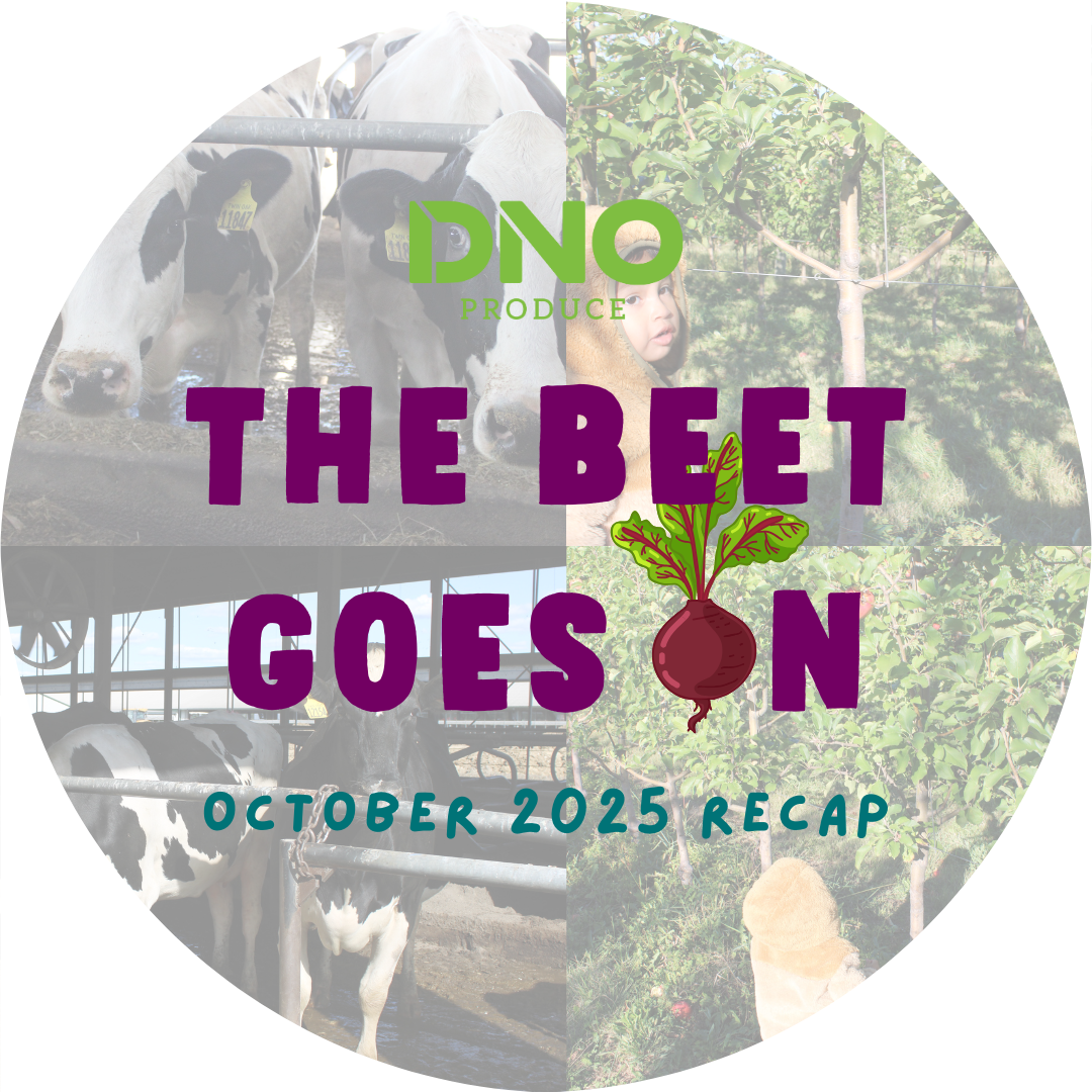 Check Out Our October Recap!