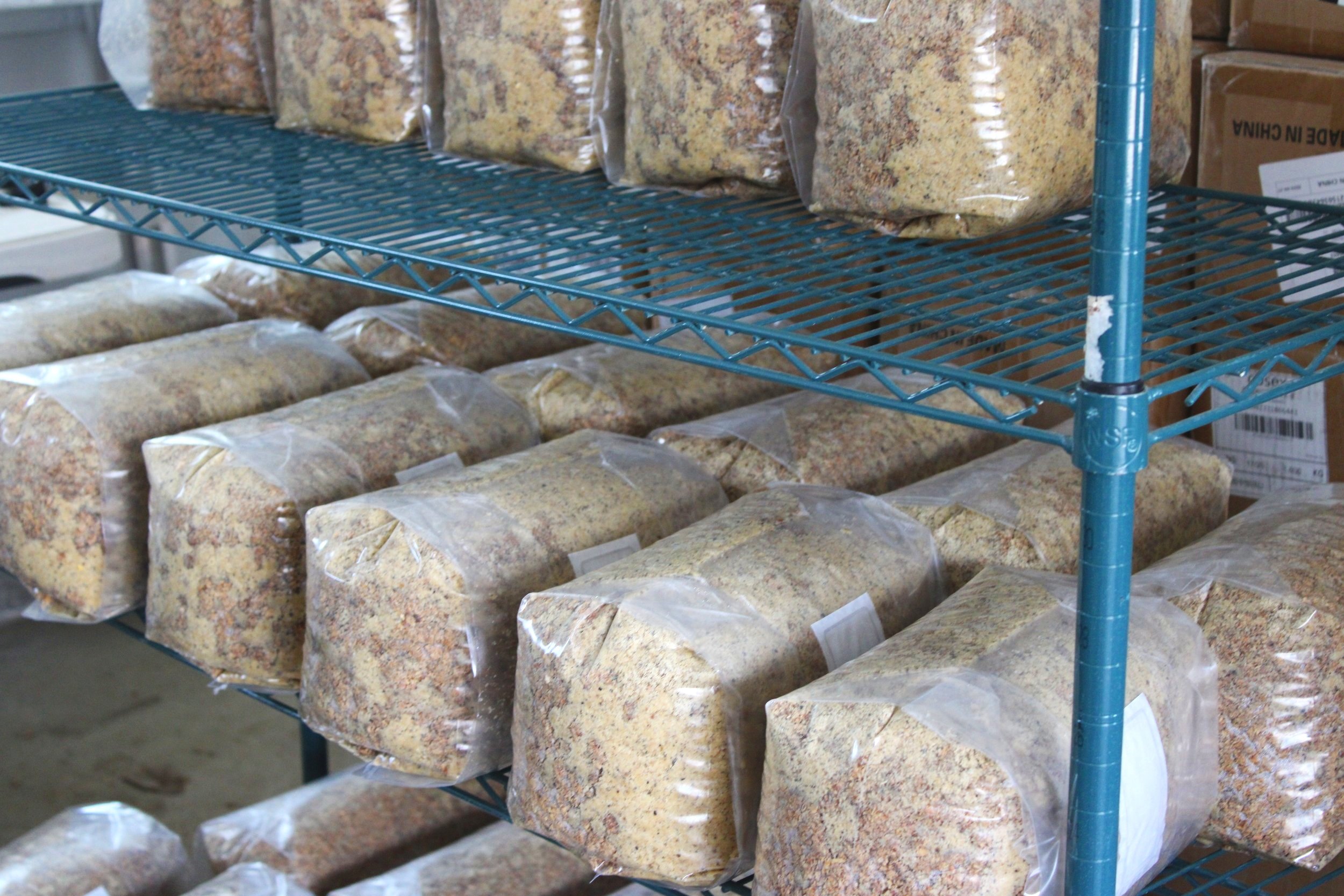Clear plastic bags filled with mushroom soil on a blue metal shelving unit in a warehouse or store, Guided by Mushrooms