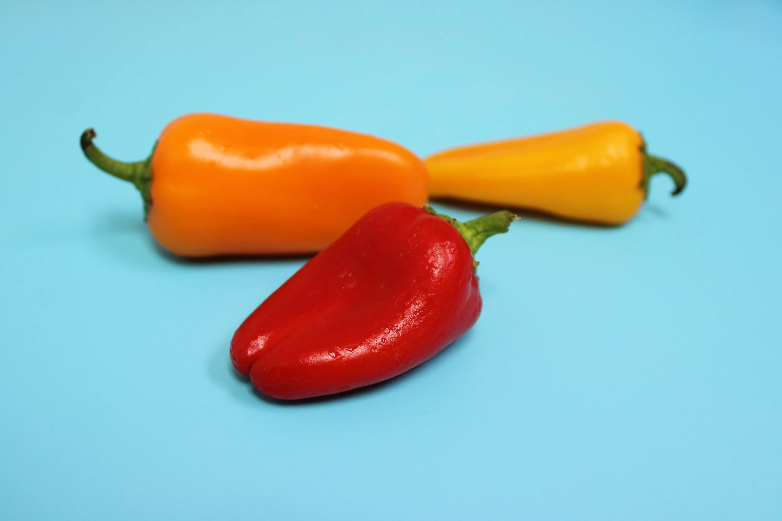 Red, yellow, and orange peppers on a light blue background.