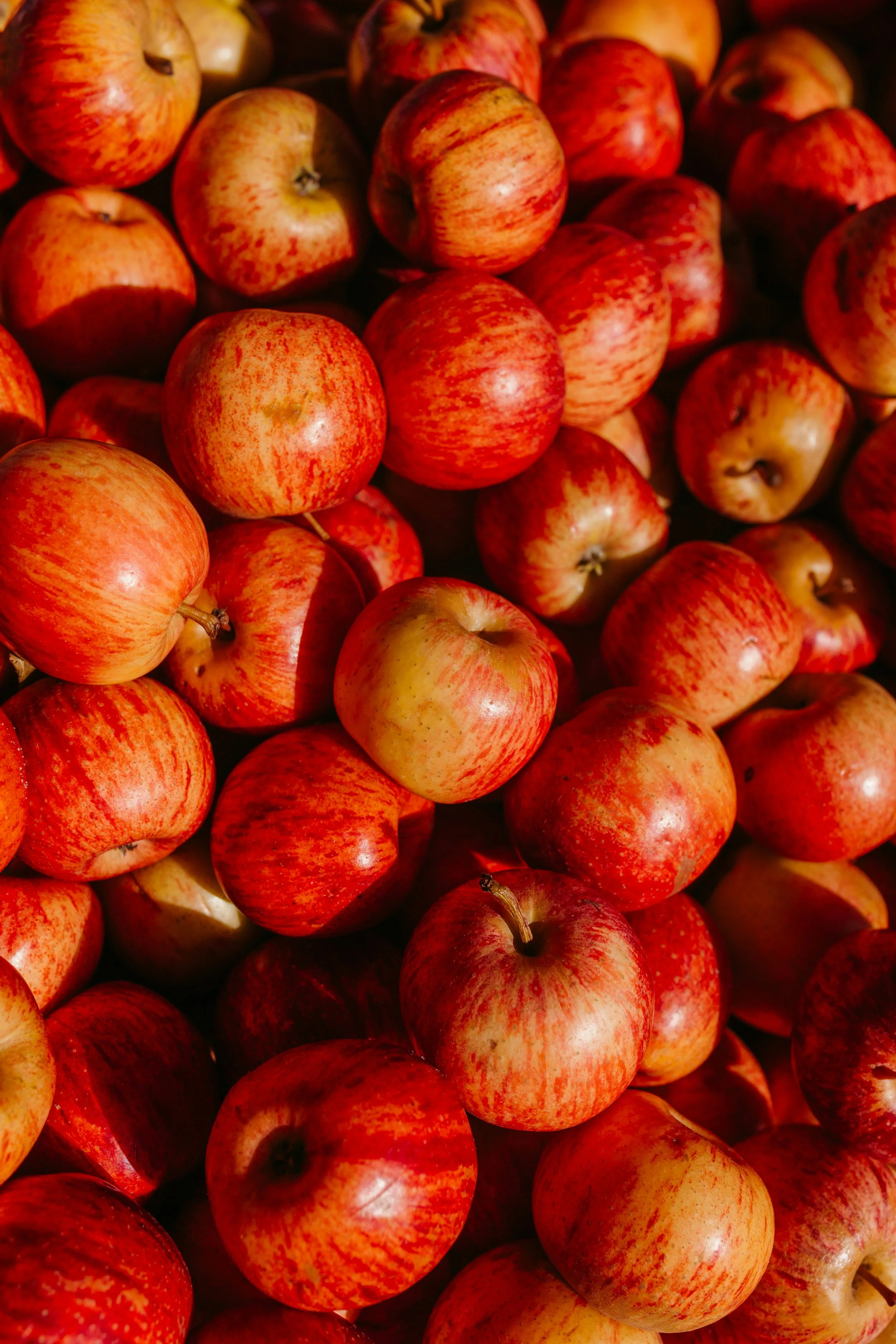Close-up of multiple red and yellow apples in a pile.