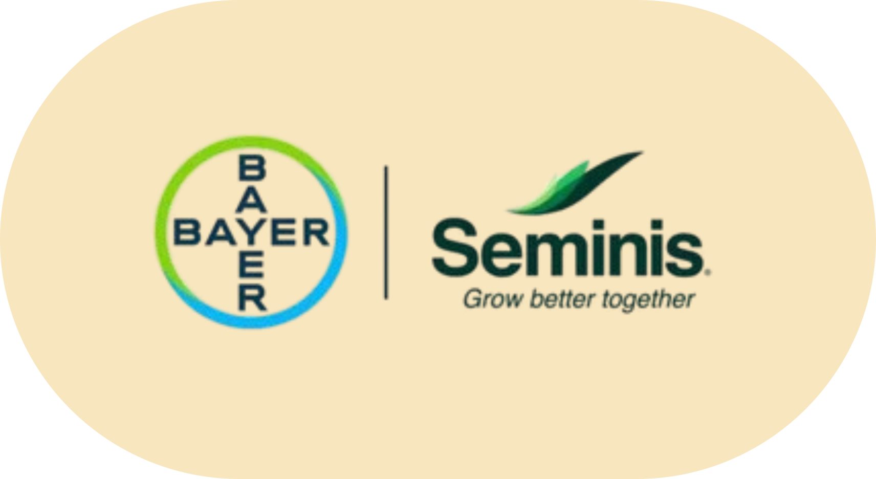 Bayer and Seminis logos with the tagline "Grow better together" on a beige background.