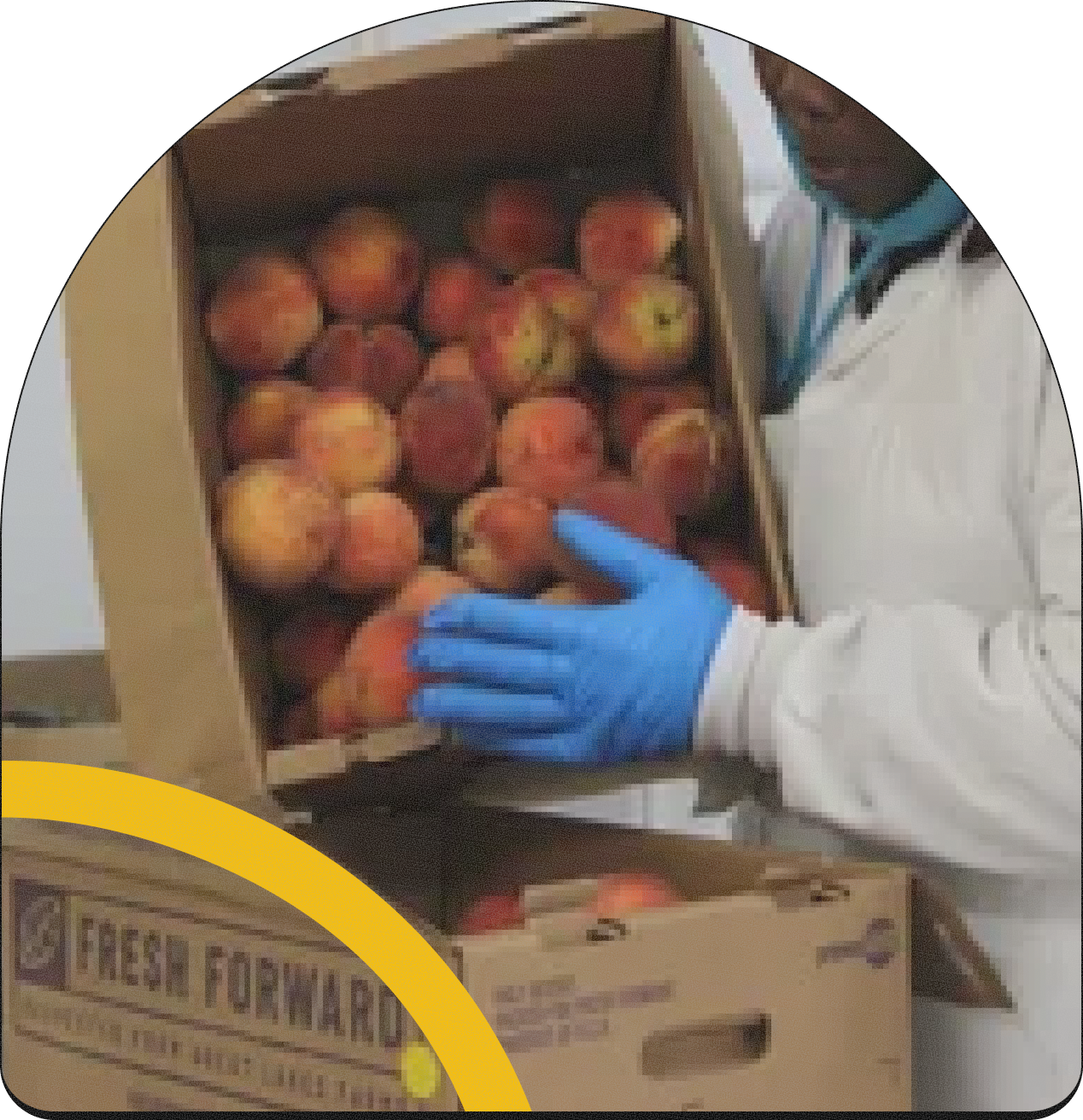 Person in protective gear inspecting a box of apples.