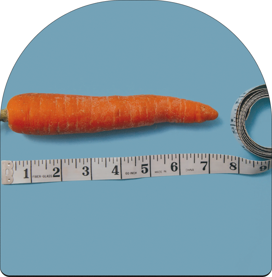 A single carrot lying on a blue surface with a measuring tape next to it, showing an approximate length of 7 inches.