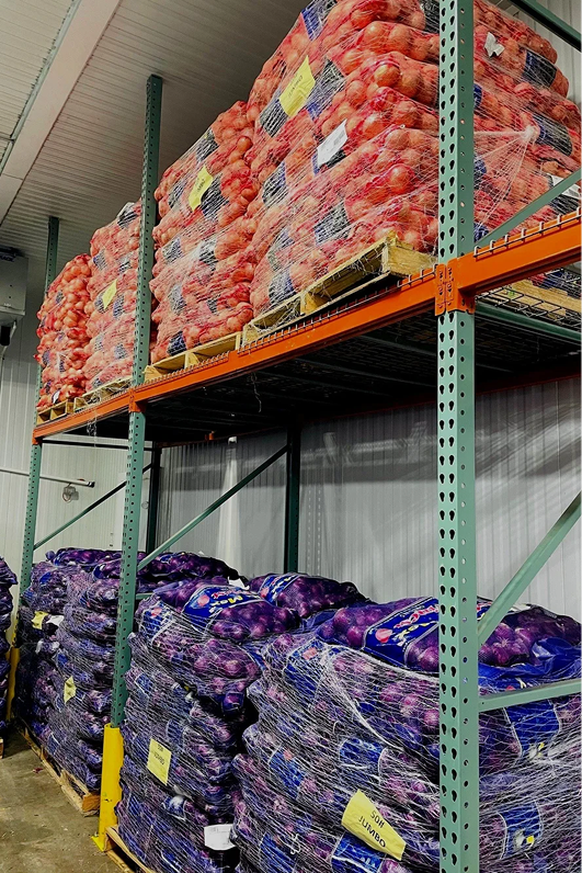 Large bags of onions on the top shelf and large bags of red onions or purple onions on the bottom shelf stored on warehouse metal shelving.